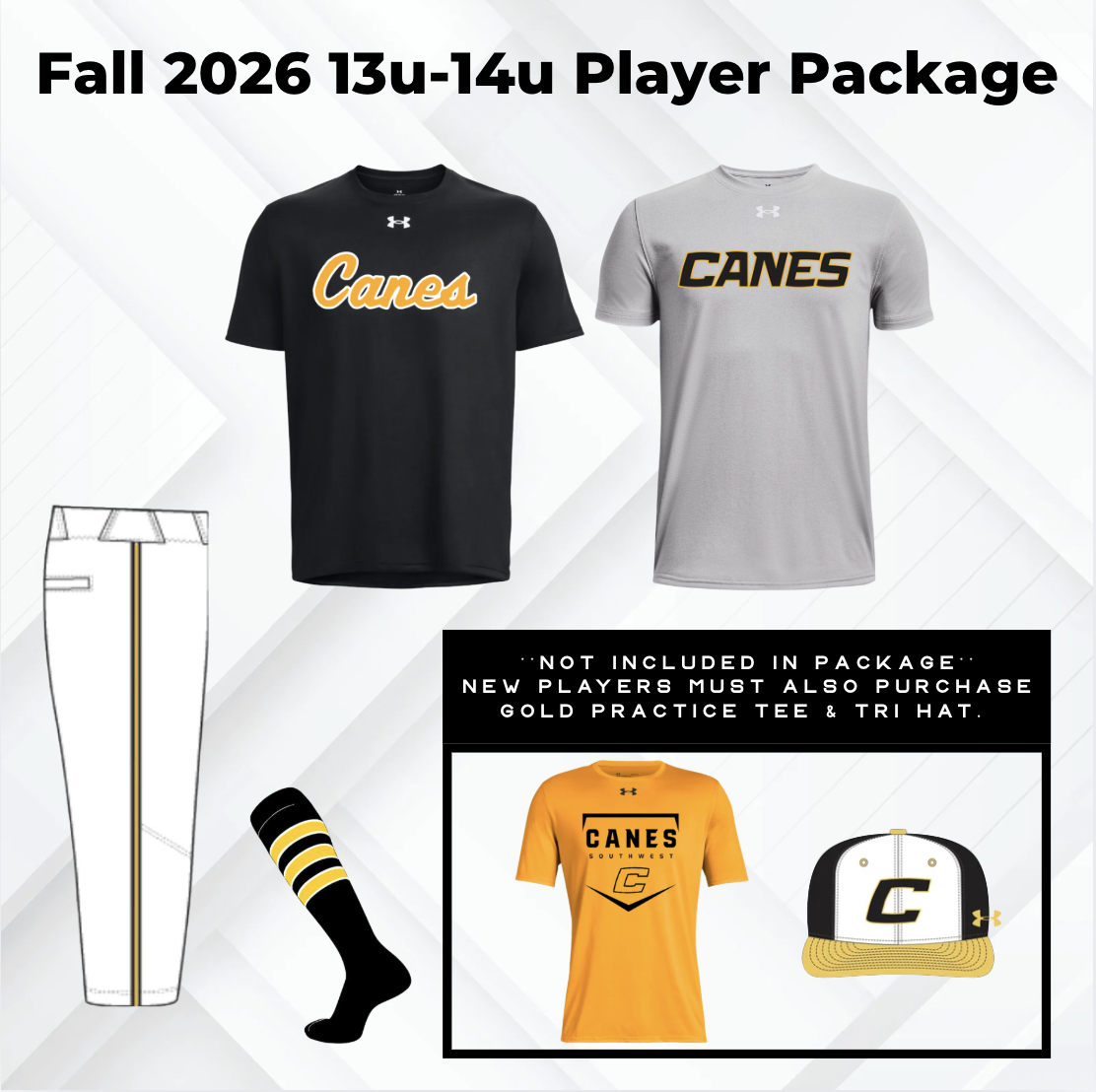 F26 UA 13u-14u Houston Player Package