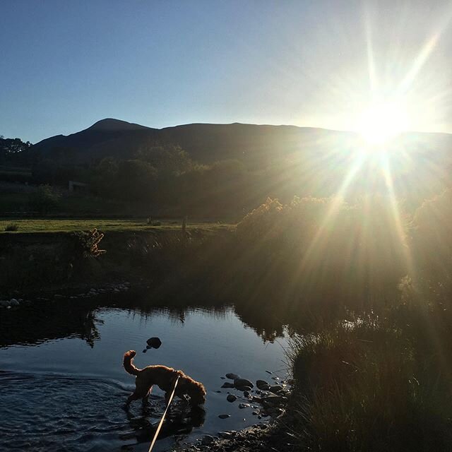 Reckon this one deserves a full square ☺️ 5 mins from home...so thankful to live here with such beauty on our doorstep. Walks with Luna also keeping me sane!

#lockdownlove #lovethelakes #noplacelikehome #lakelandmassage #lakedistrict #cumbria #laked