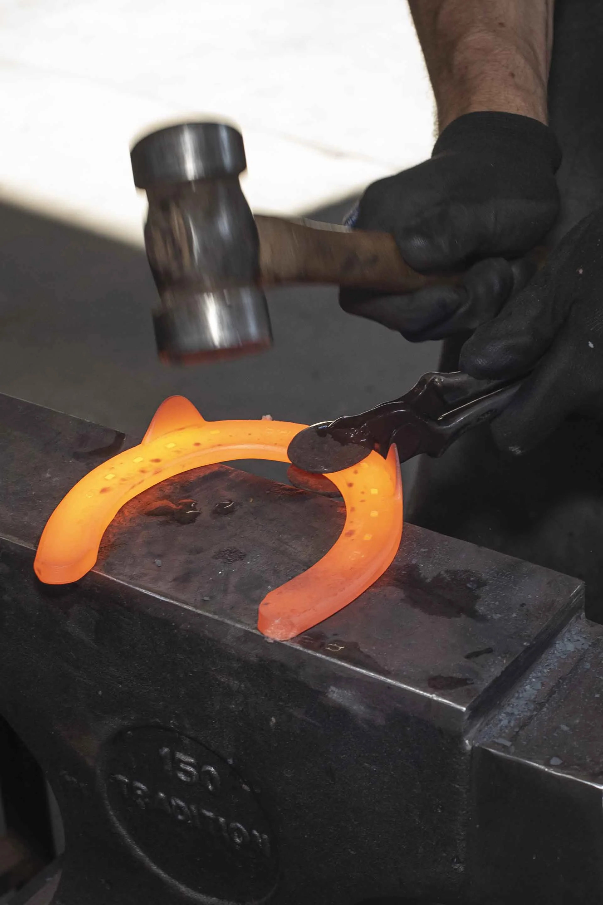 Project Feature - Farrier Shop