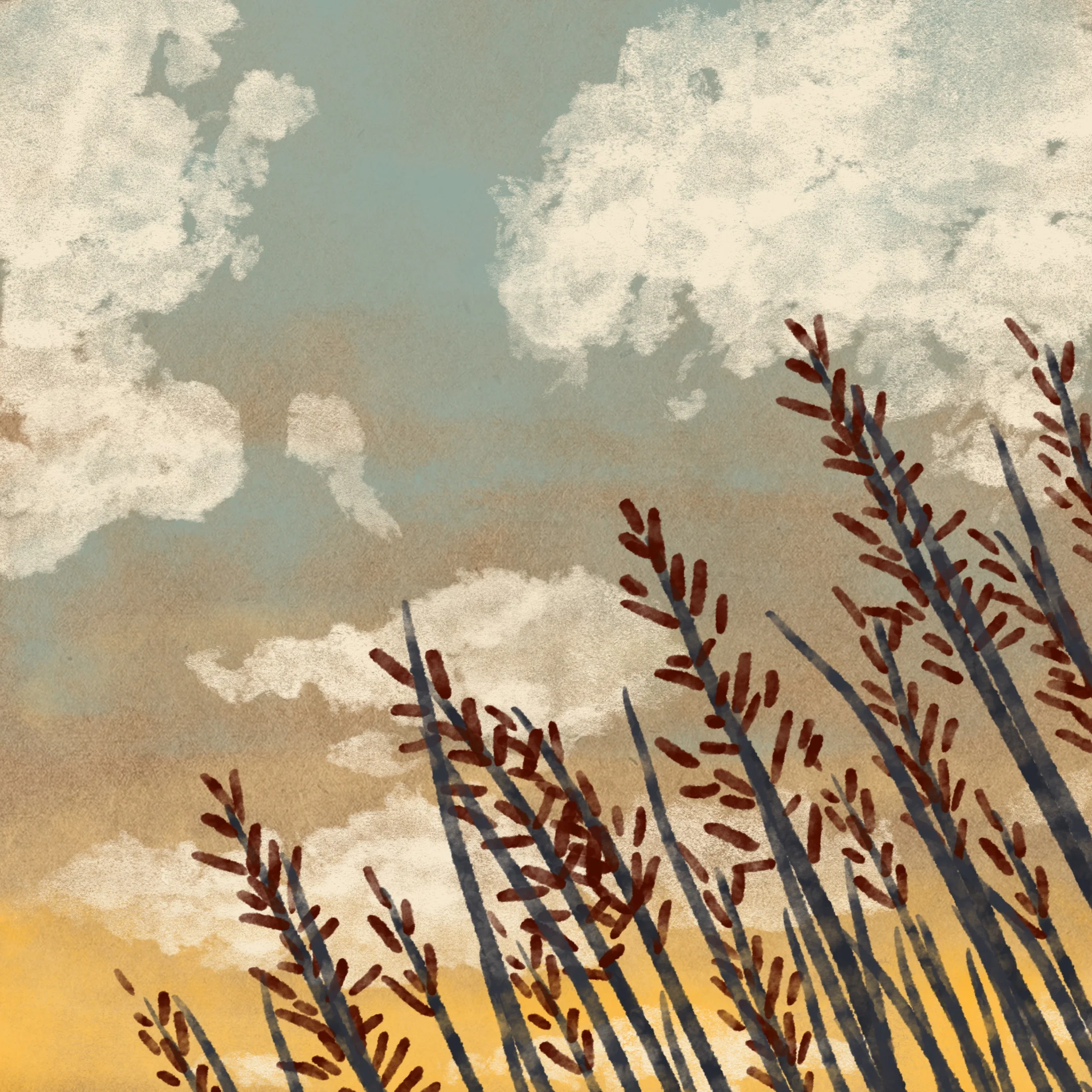 FULL Animation long loop_00010.jpg