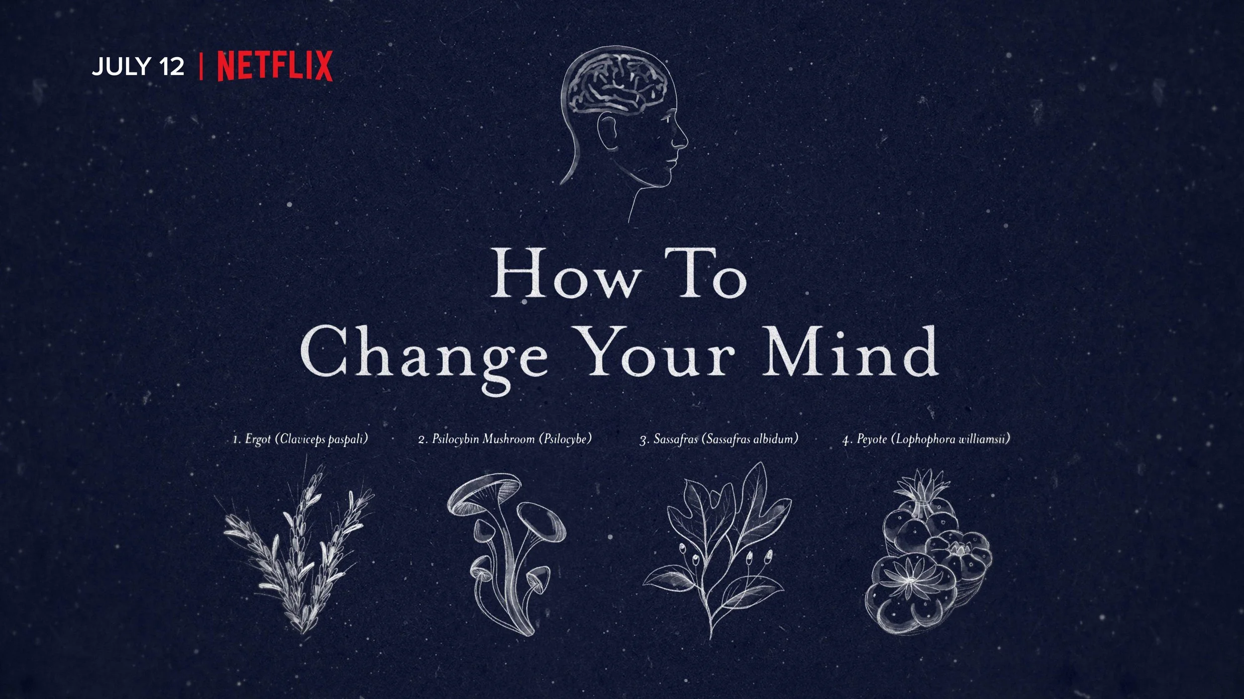 HTCYM Cover Netflix_v1_04891.jpg