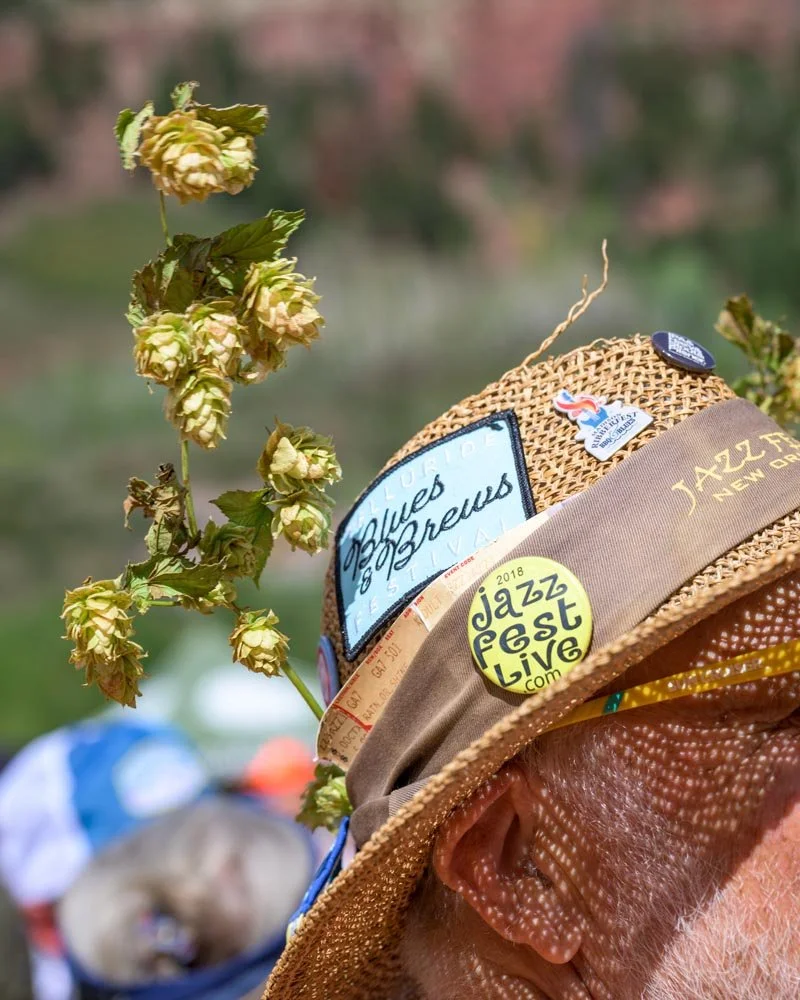TellurideBlues_20260919_143415.jpg