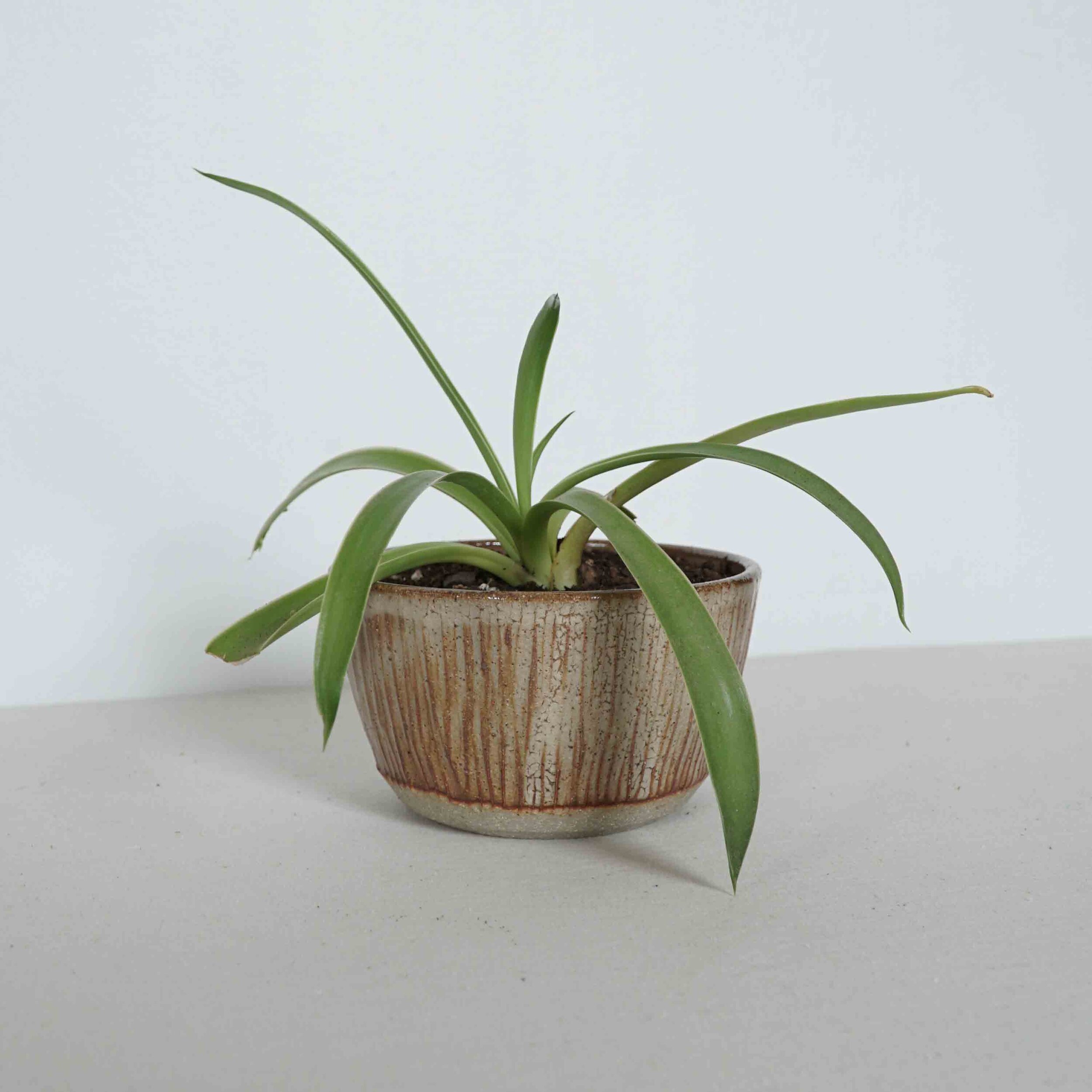 Planter, Small (FINAL PRODUCTION!)