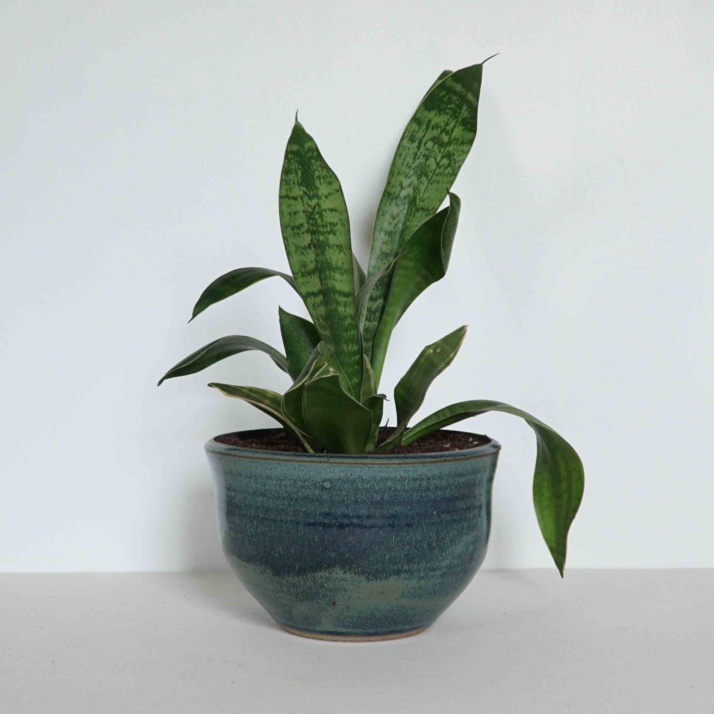 Planter, Large (FINAL PRODUCTION!)