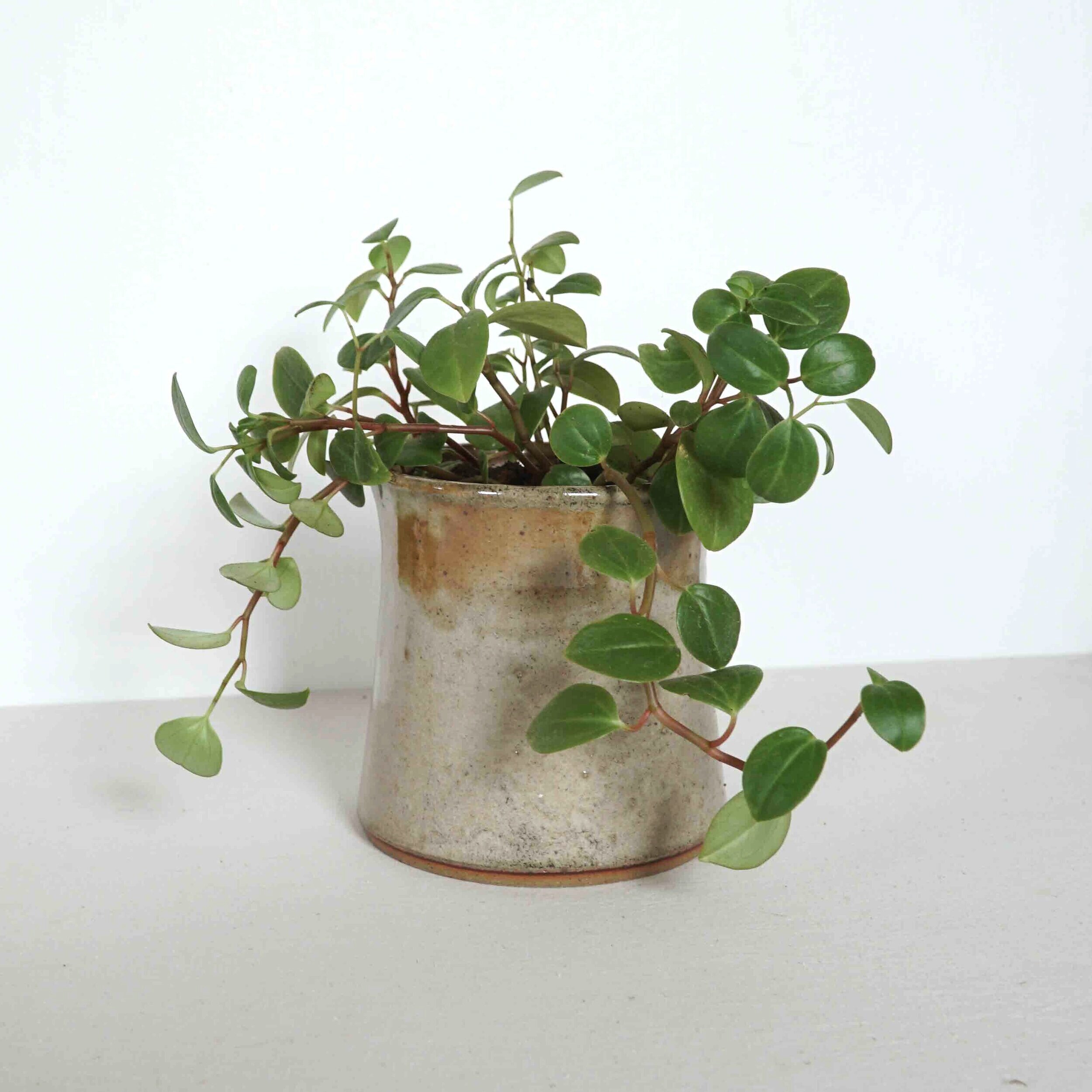 Planter, Medium (FINAL PRODUCTION!)