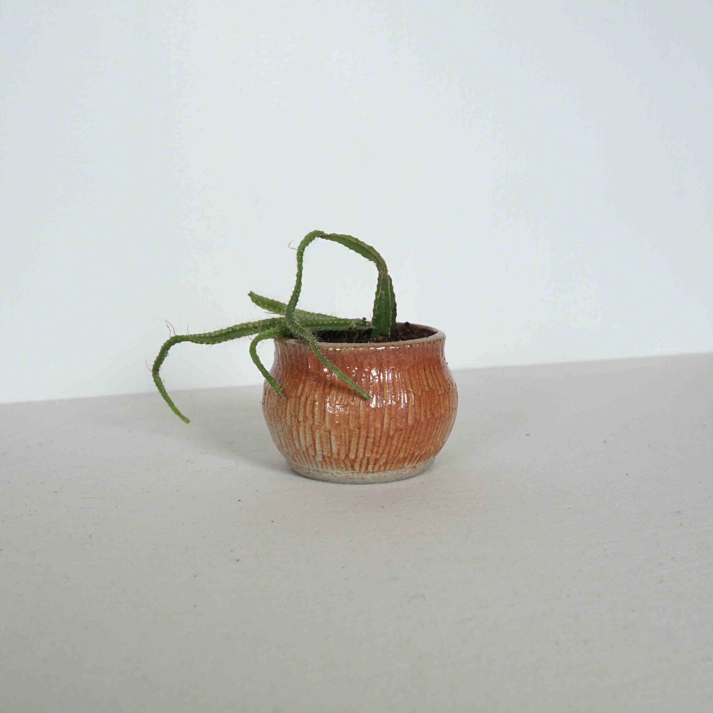 Planter, Mini (FINAL PRODUCTION!)