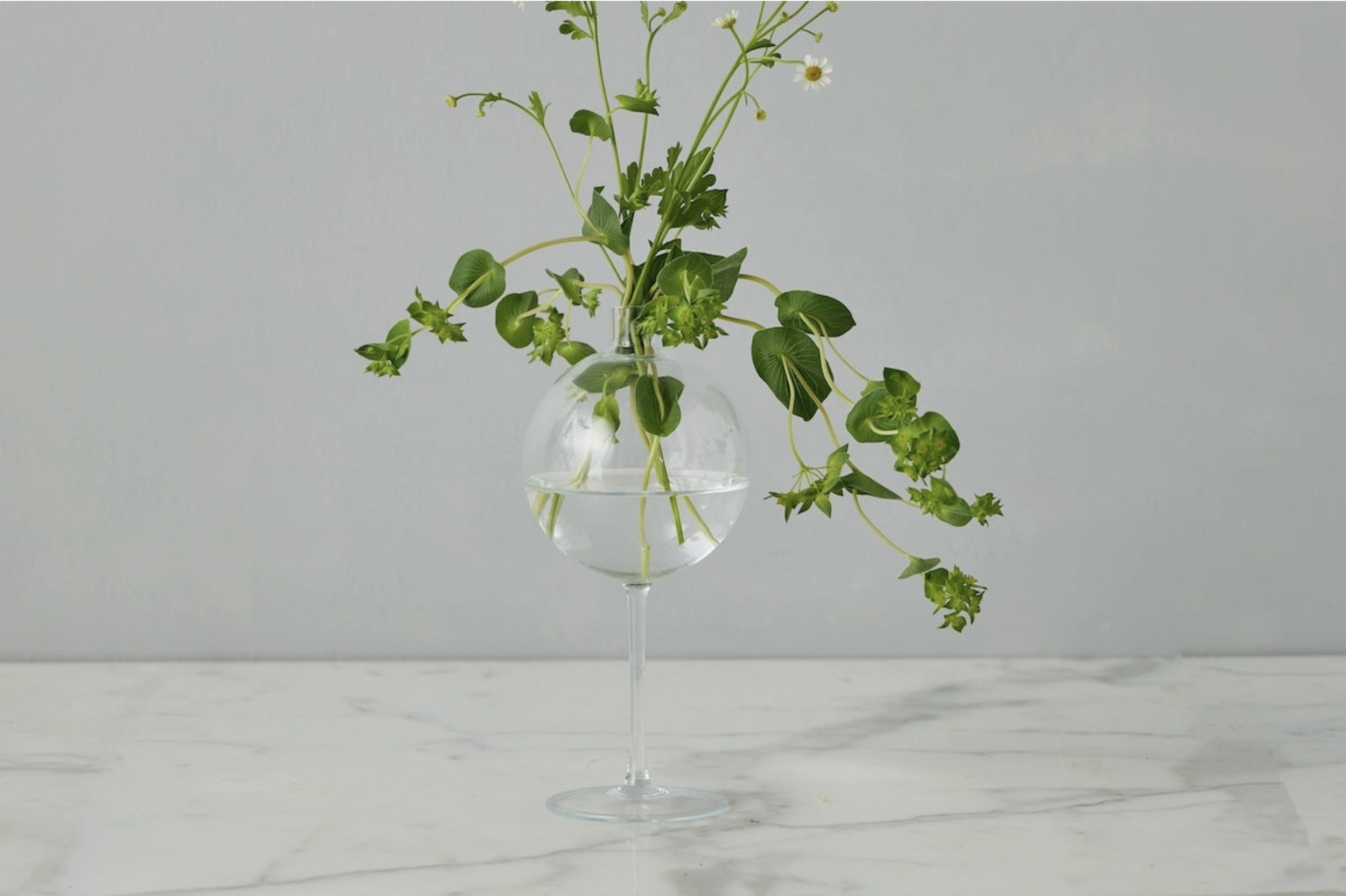 Green plants in a clear glass vase with water, placed on a marble surface.