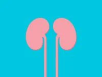 Silicon isn't just for computers. It can make a pretty good kidney, too.