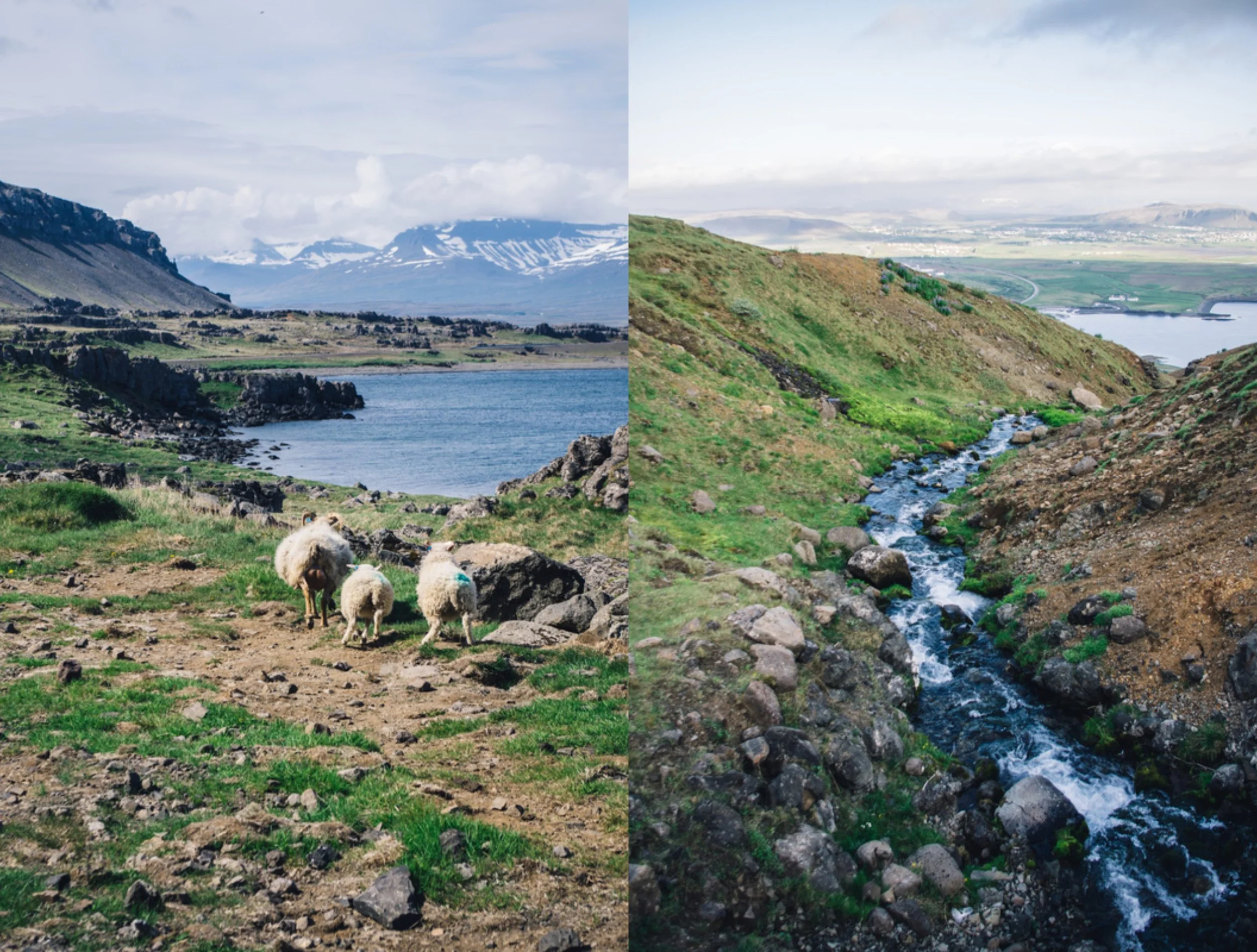 Iceland-collage.jpg
