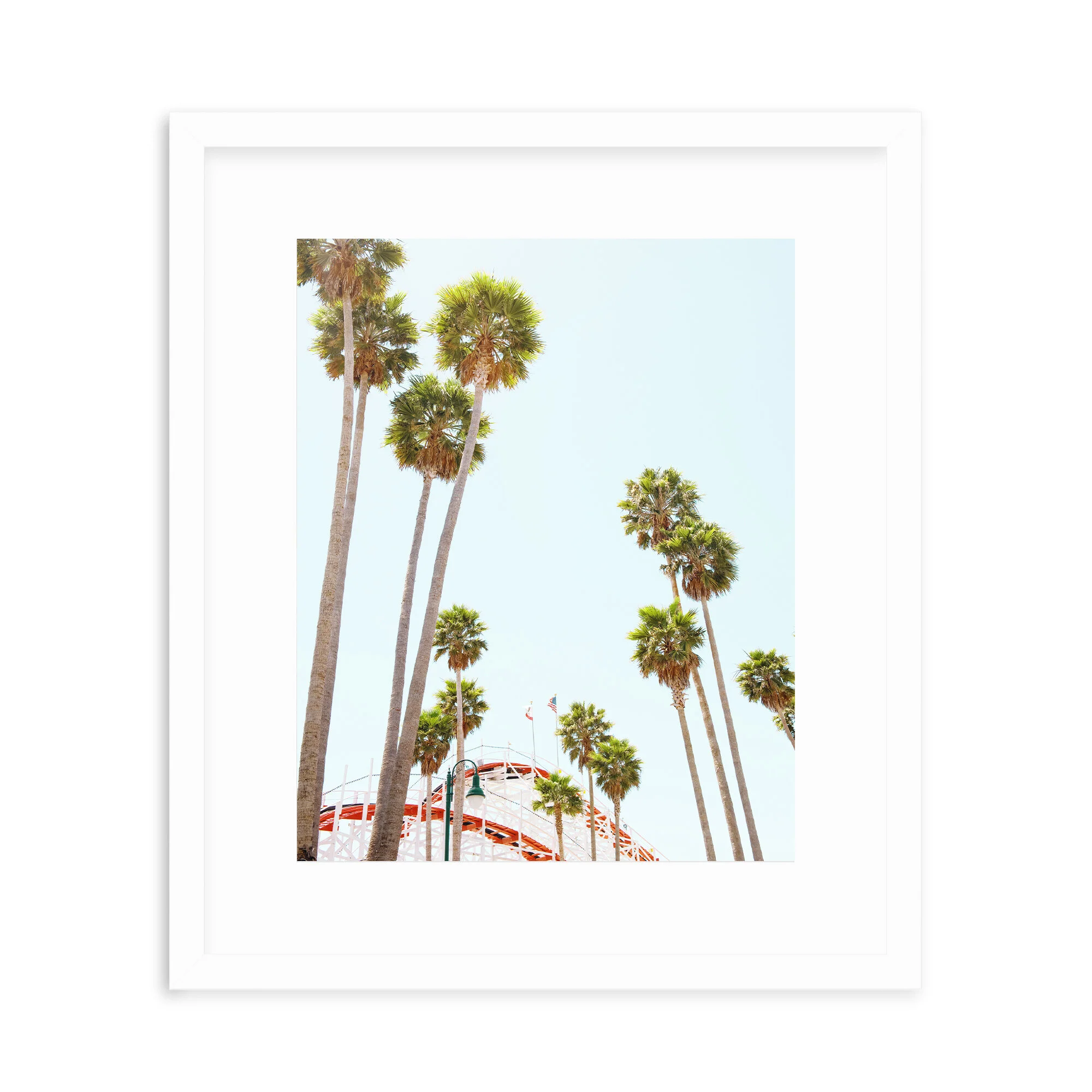 White Framed Sc Palms.jpg