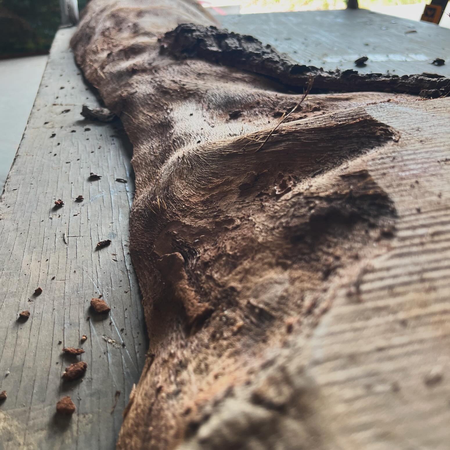 Check out the rolling hills of Savannah 👀

#lumber #salvage #wood #goodwood #salvagedlumber #salvagedwood #yard #rps #repurpose #wonderfulwood
