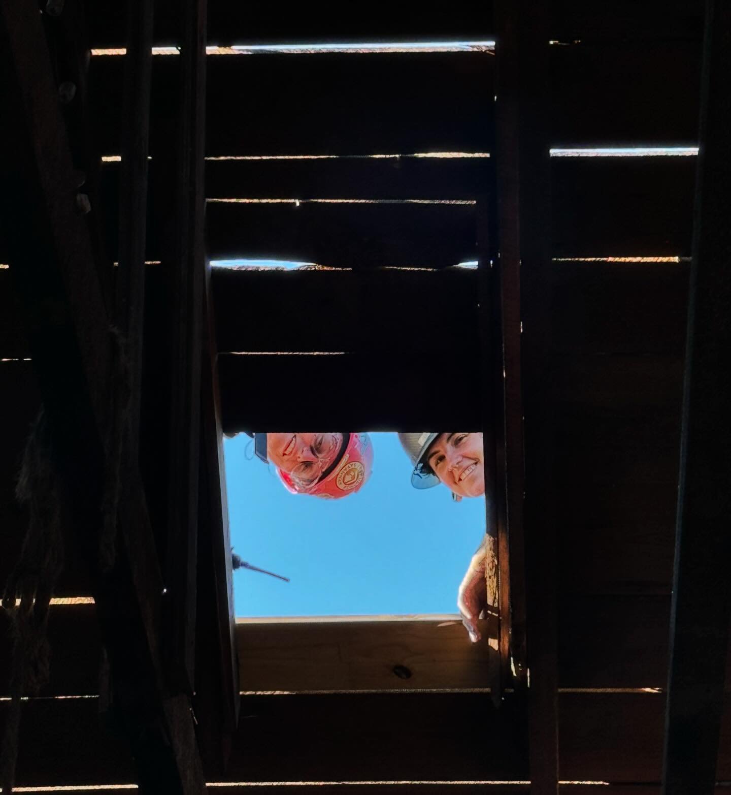Popping in to say HELLO! 👋 We all hope you&rsquo;re having a great week! 🍀🏠

#happyhumpday🐪 #wednesday #bnb #roof #hardhats #rps #salvage #goodvibes