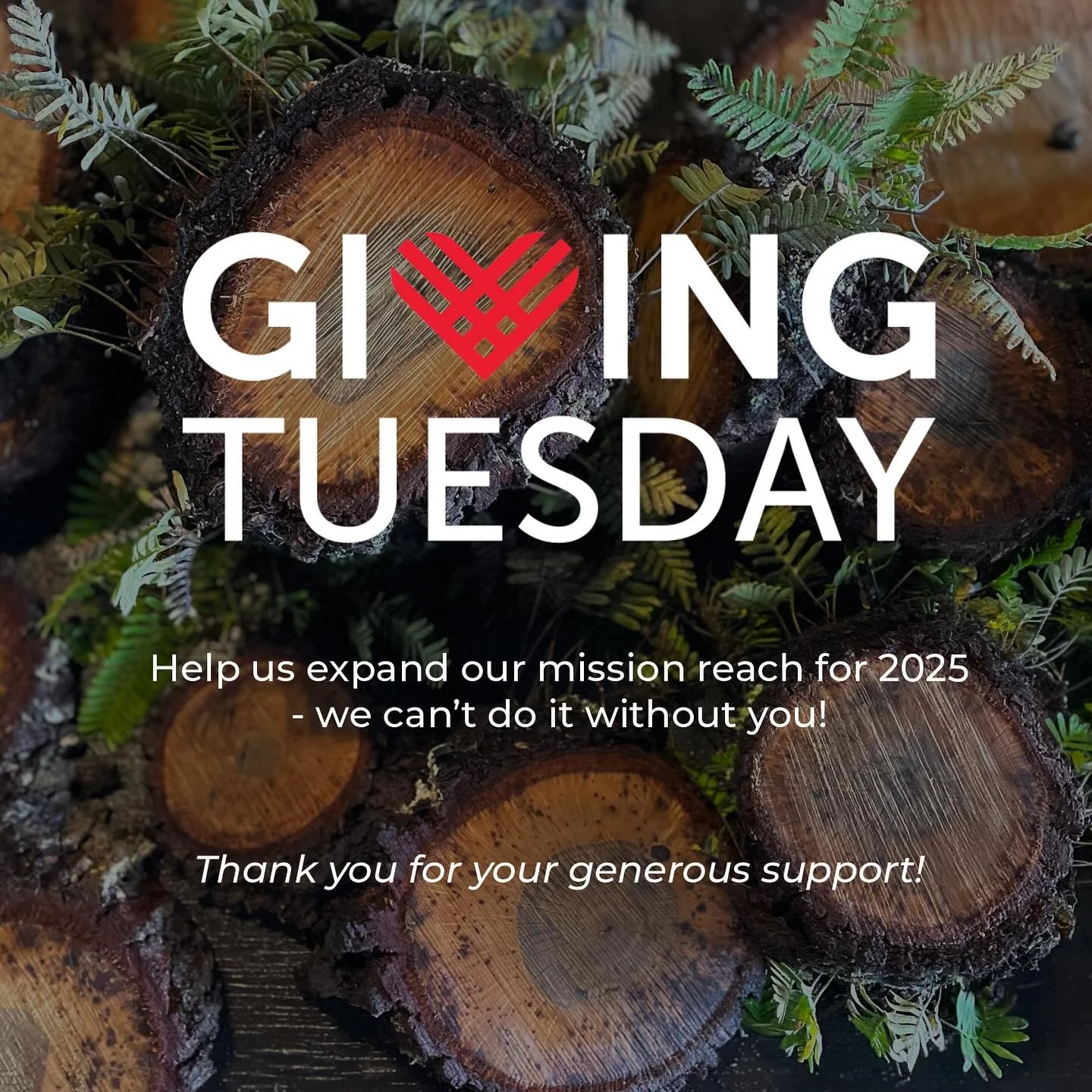 Build a Better Tomorrow With Us This #givingtuesday ! 🌳

From reclaimed salvage to sustainability, Re:Purpose Savannah is on a mission to turn what&rsquo;s destined for the landfill into something extraordinary. Every donation helps us reclaim mater