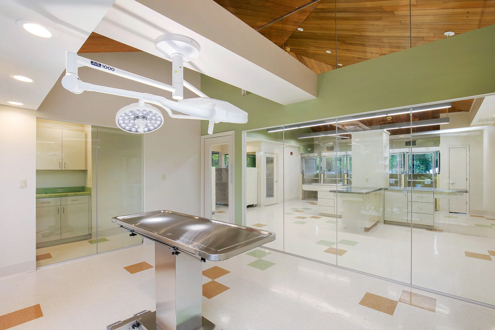 011_VetClinic_Stroop surgery inside.JPG