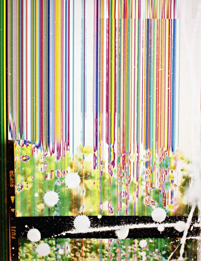 No Exit, Just Colors, Flowers