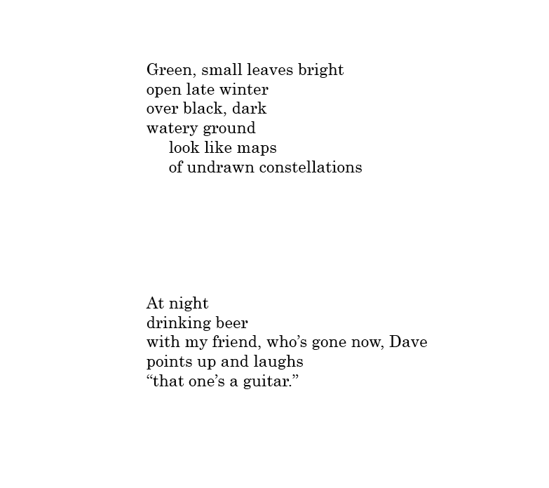 excerpt - green small leaves.png