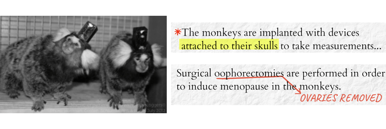 Telemeter_Marmoset_FOIA_Email-1.png