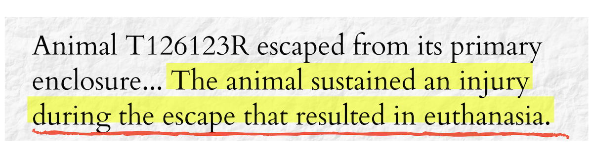 neavs action network email animal escaped text.png
