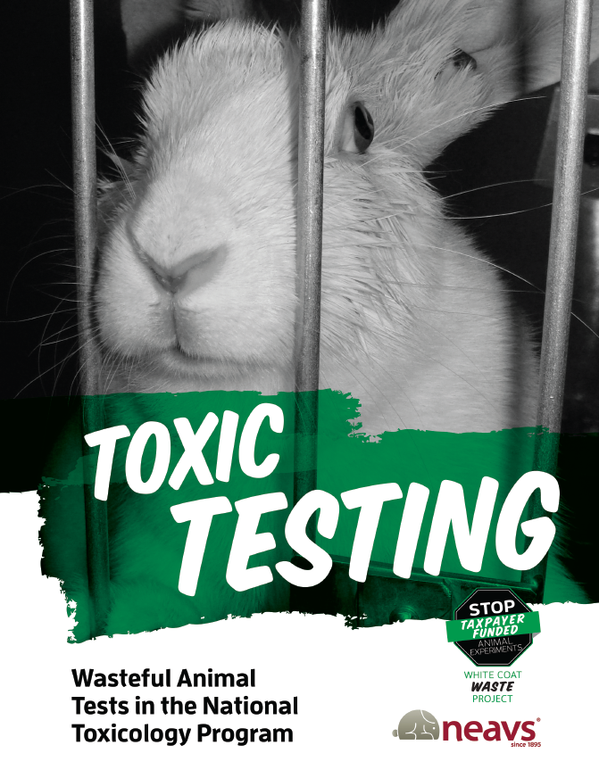 Toxic_Testing_report_cover.png