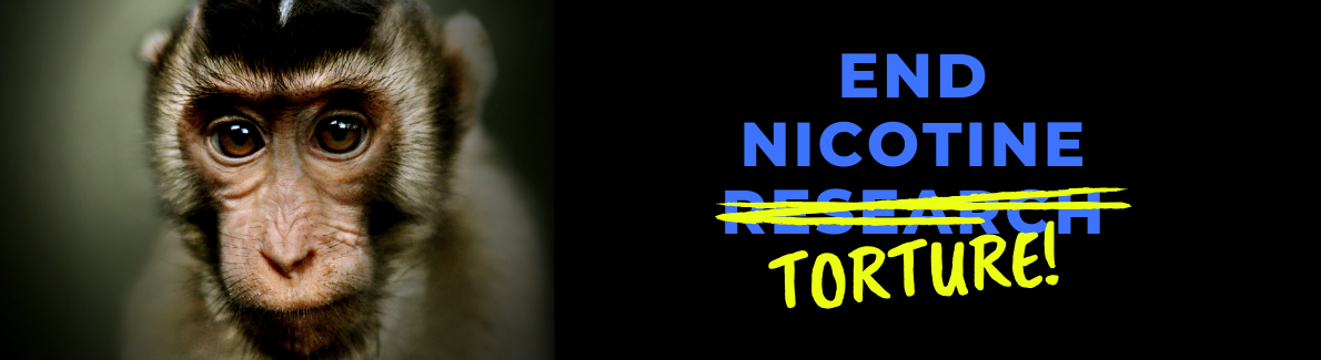 Email Header.Urgent Need.UF Nicotine Torture.png