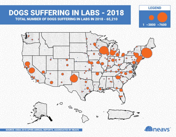 In 2018, dogs were held at 330 physical locations in the U.S. Most (62%) are colleges and universities. The average facility with dogs houses 197 dogs.