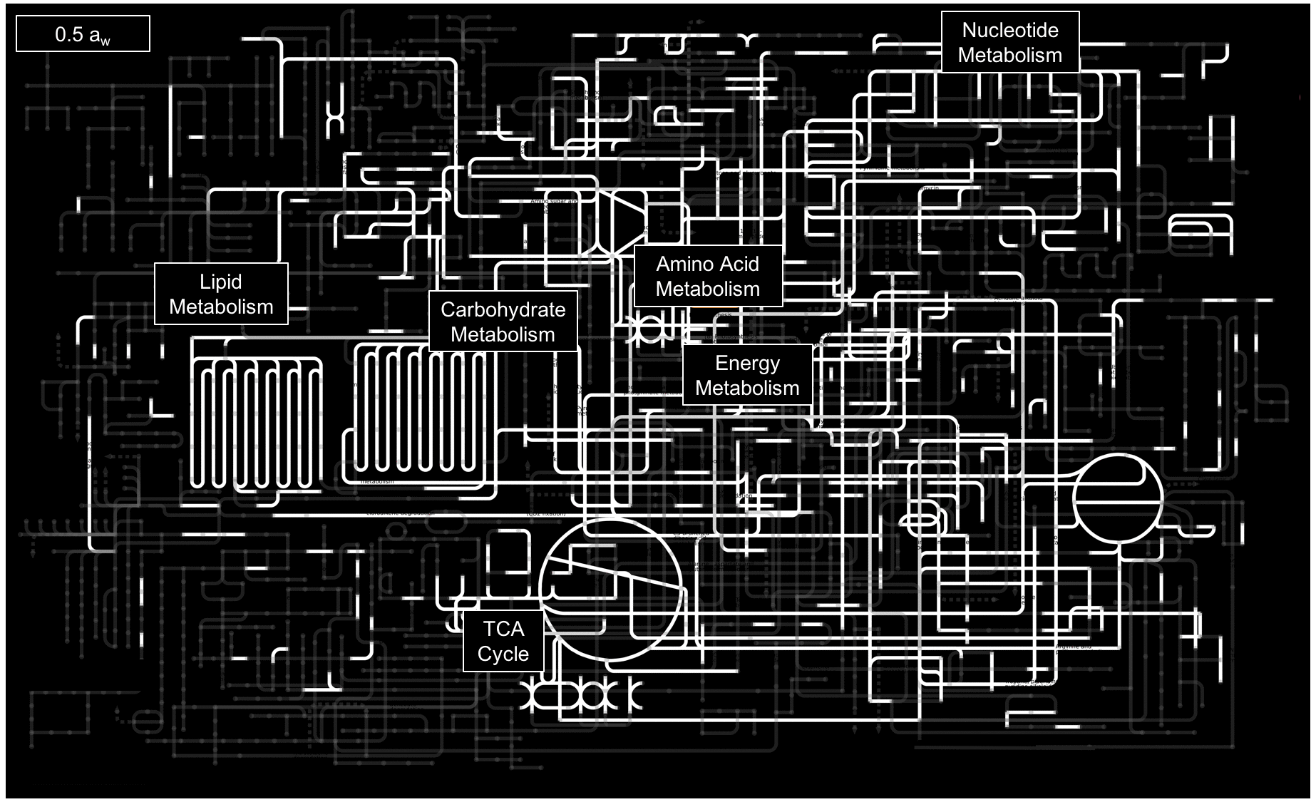 KEGGpathwaymap.gif