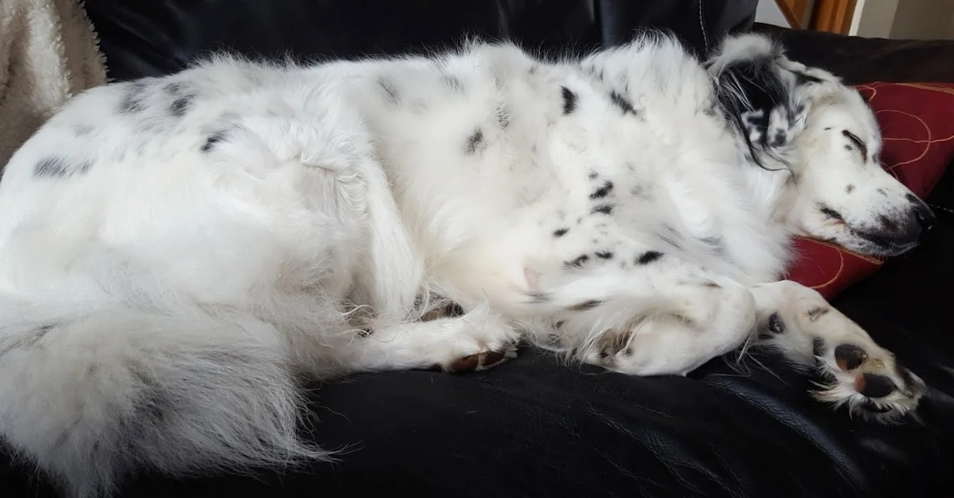 Emma sleeping.jpg