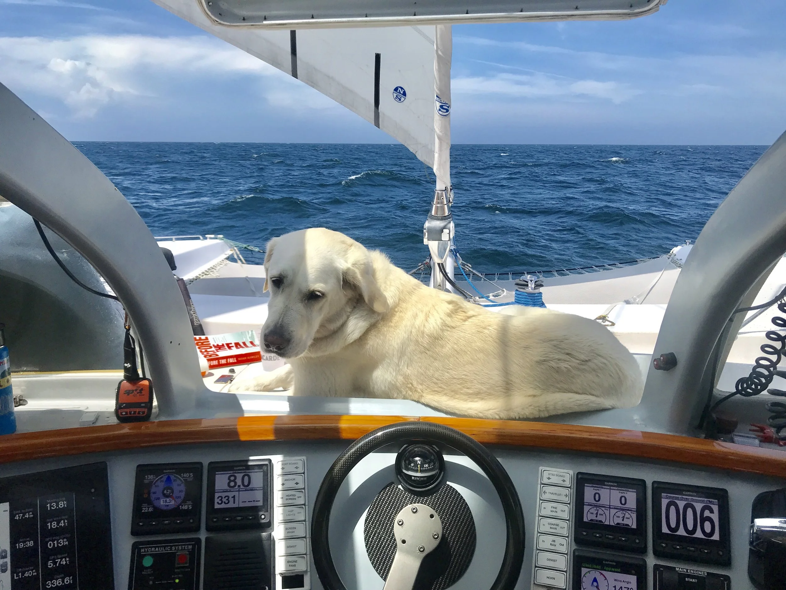 Bringing Accessible Sailing to Vacationland