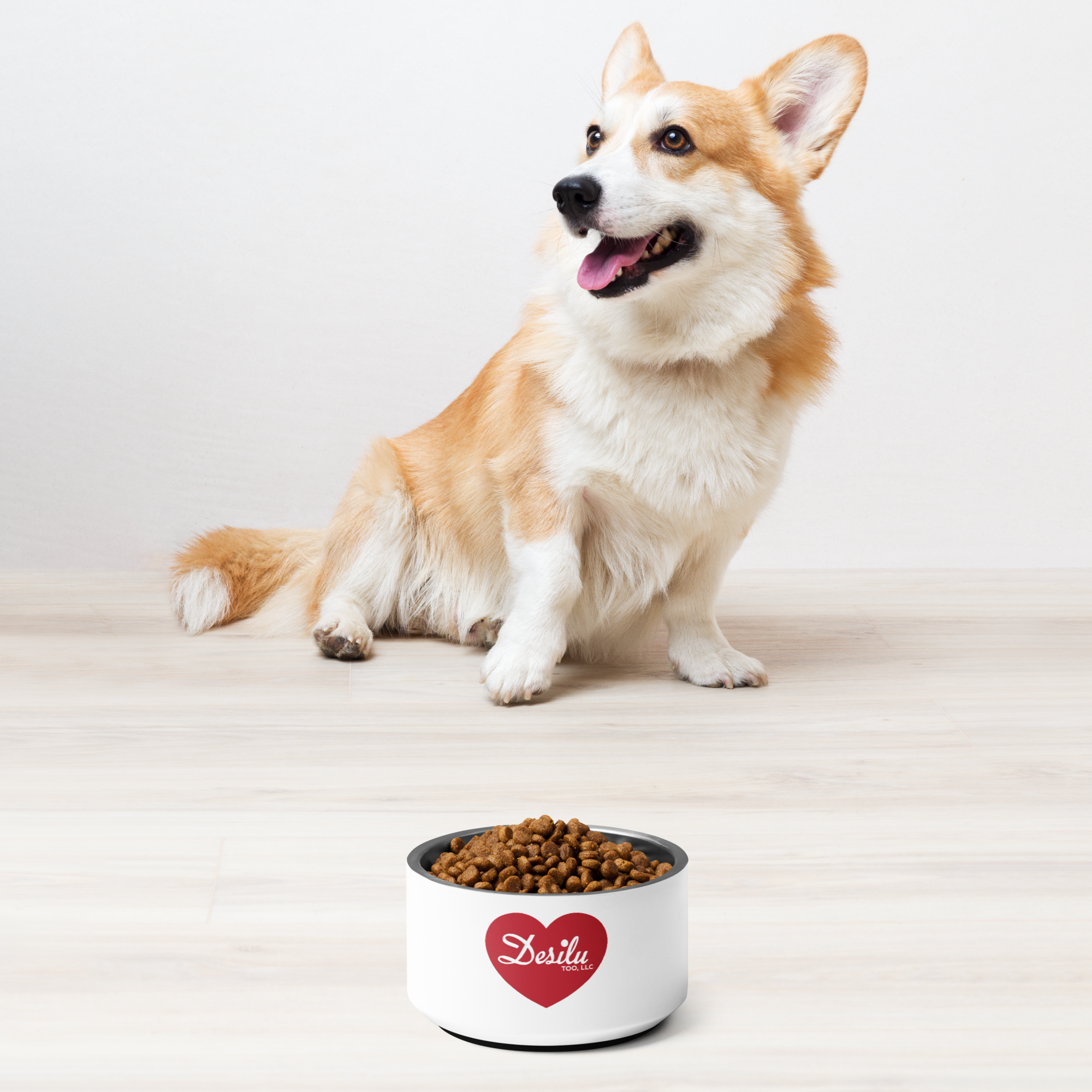 pet-bowl-white-18-oz-front-67d0fb904e43a.png