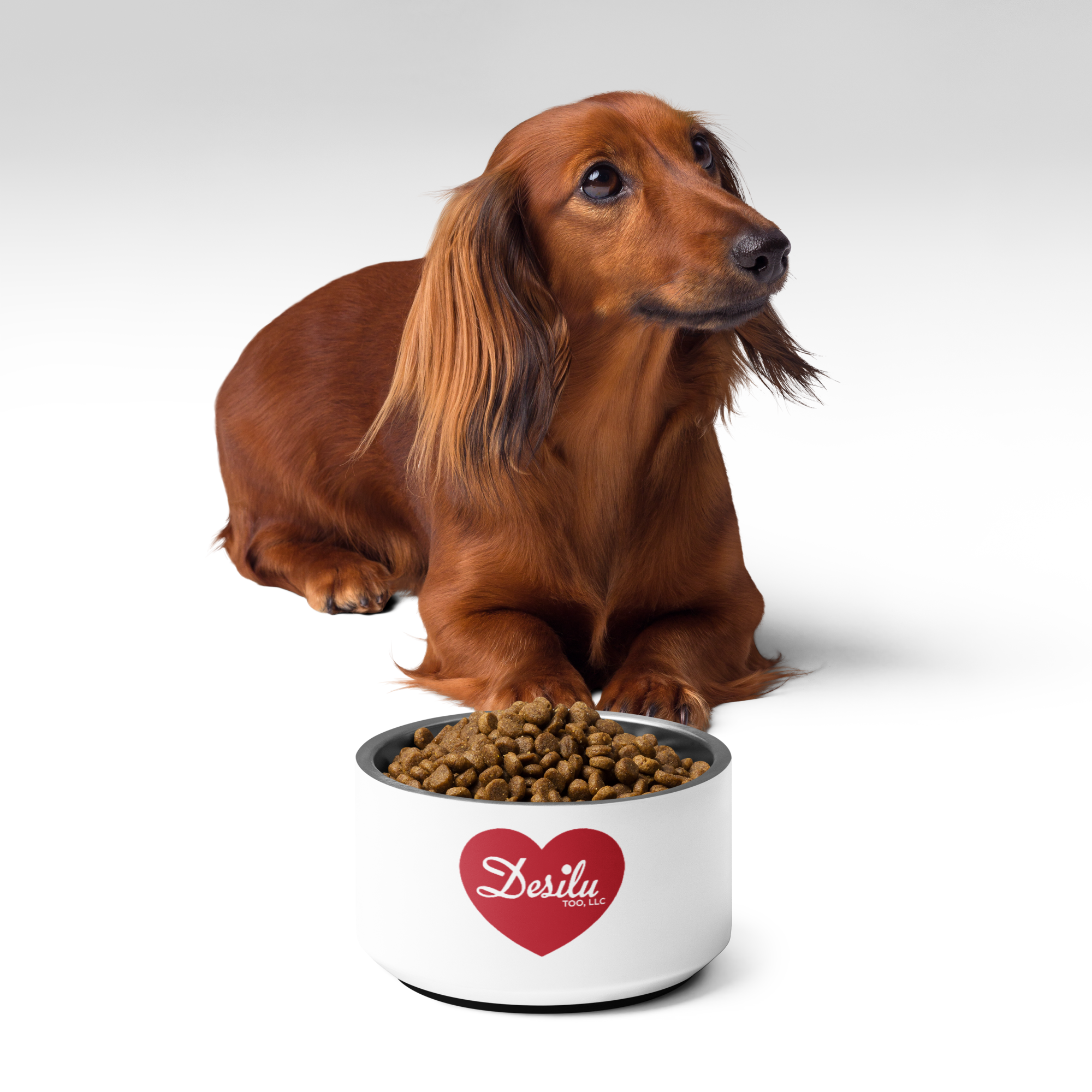pet-bowl-white-18-oz-front-67d0fb904e3c4.png
