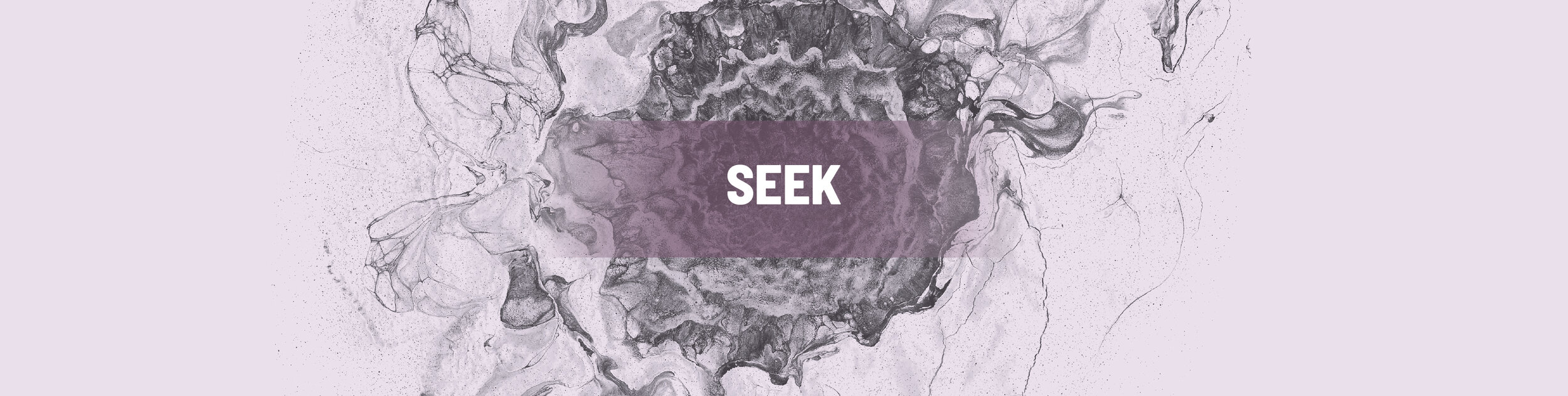 Seek Centered.jpg