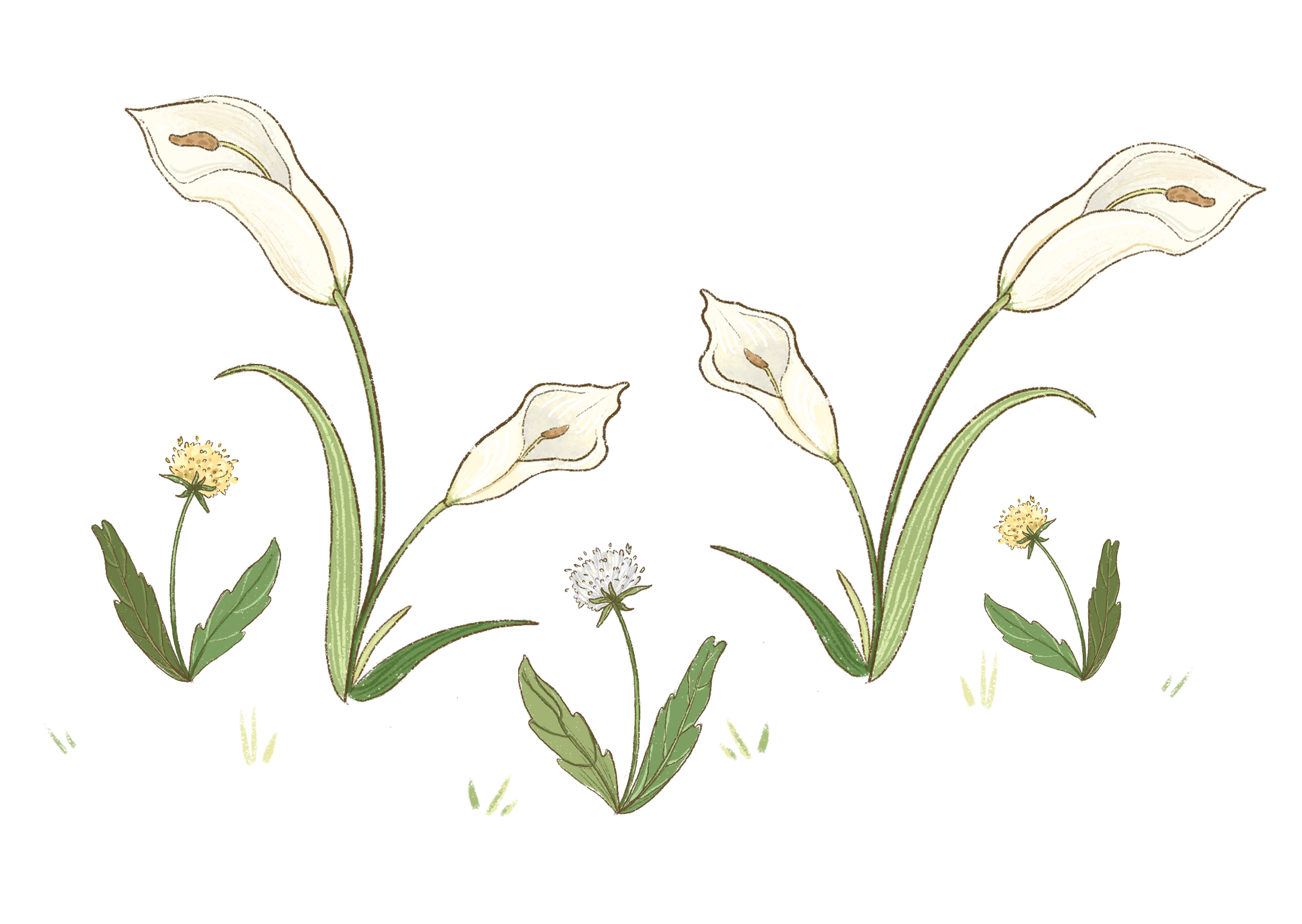 background Elements.png