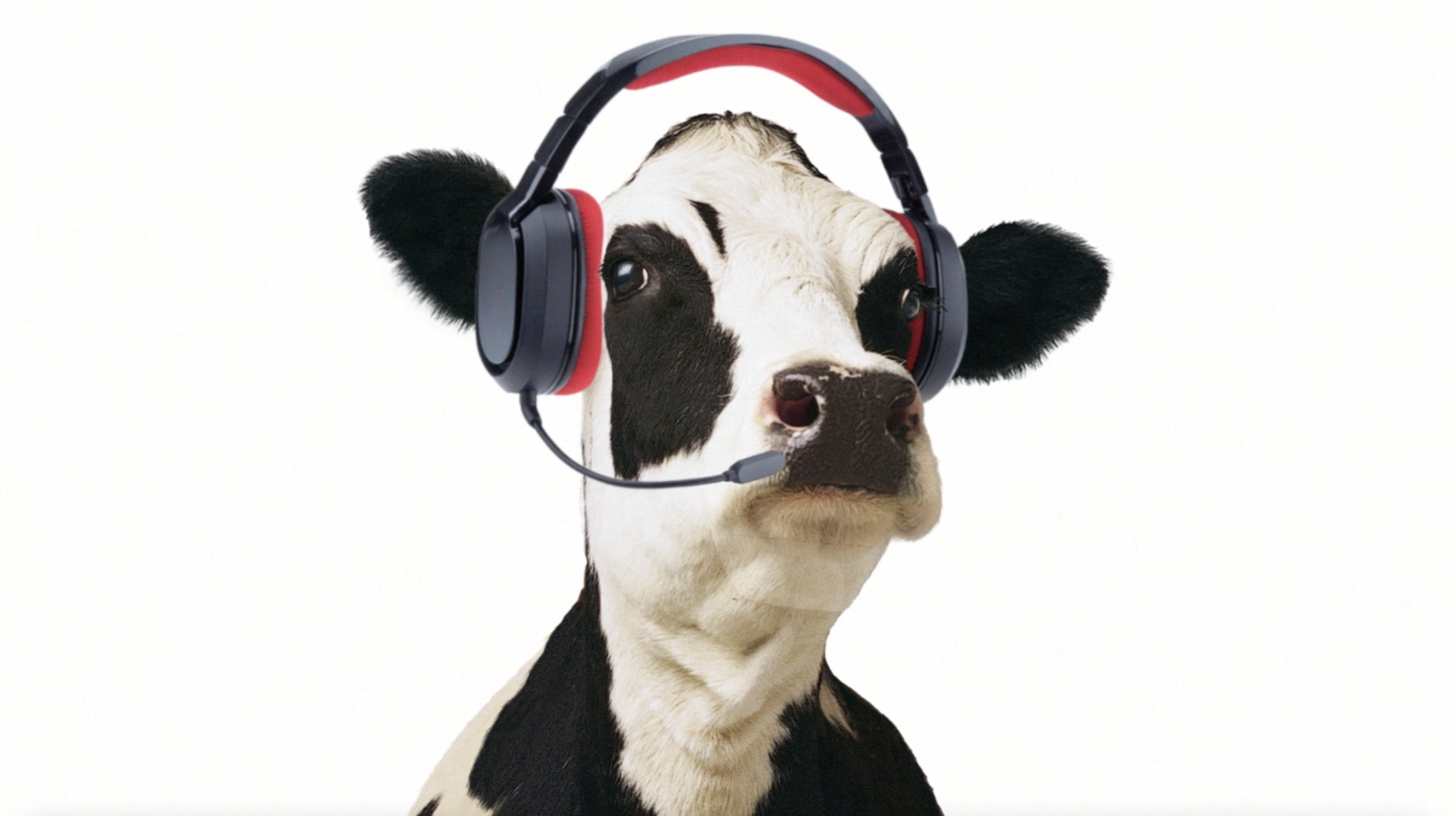 Screen Shot 2021-06-01 at 4.22.51 PM.png