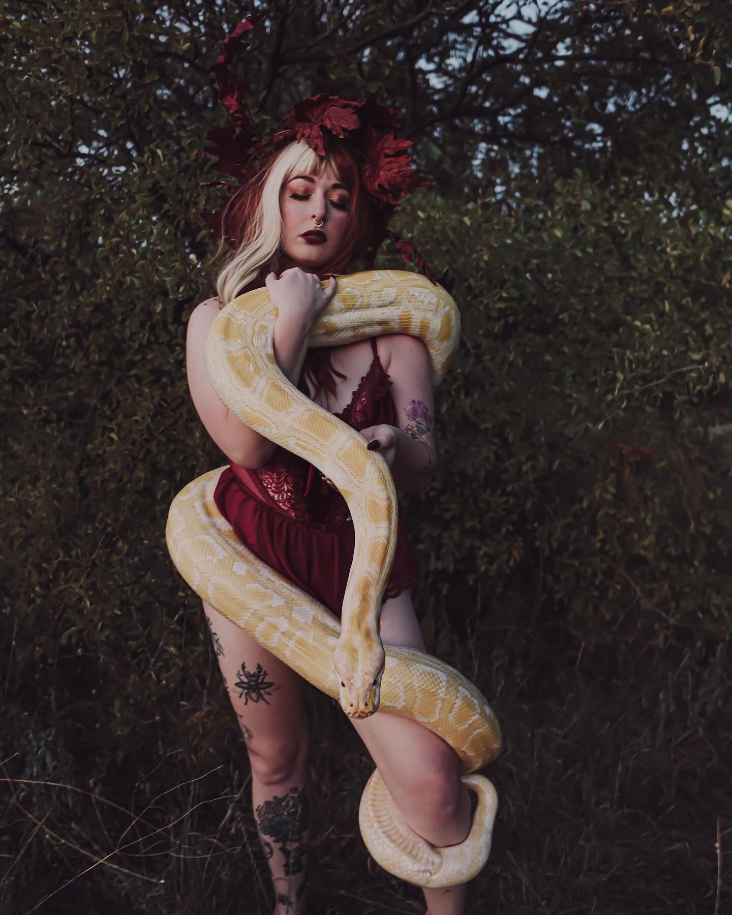 Seasonal Seductress