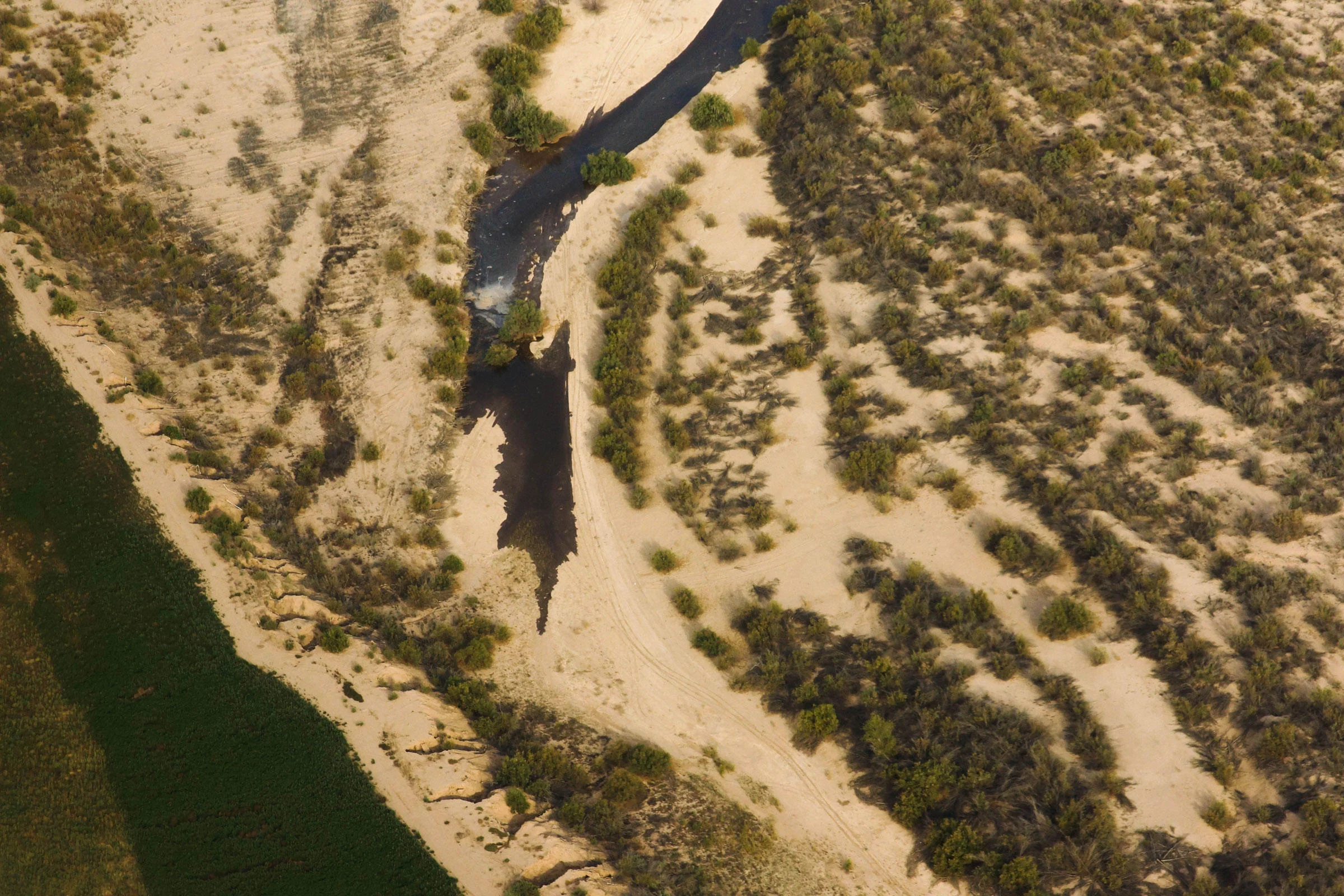 Audubon: "Pulses of Water Bring Life to the Famished Colorado River"
