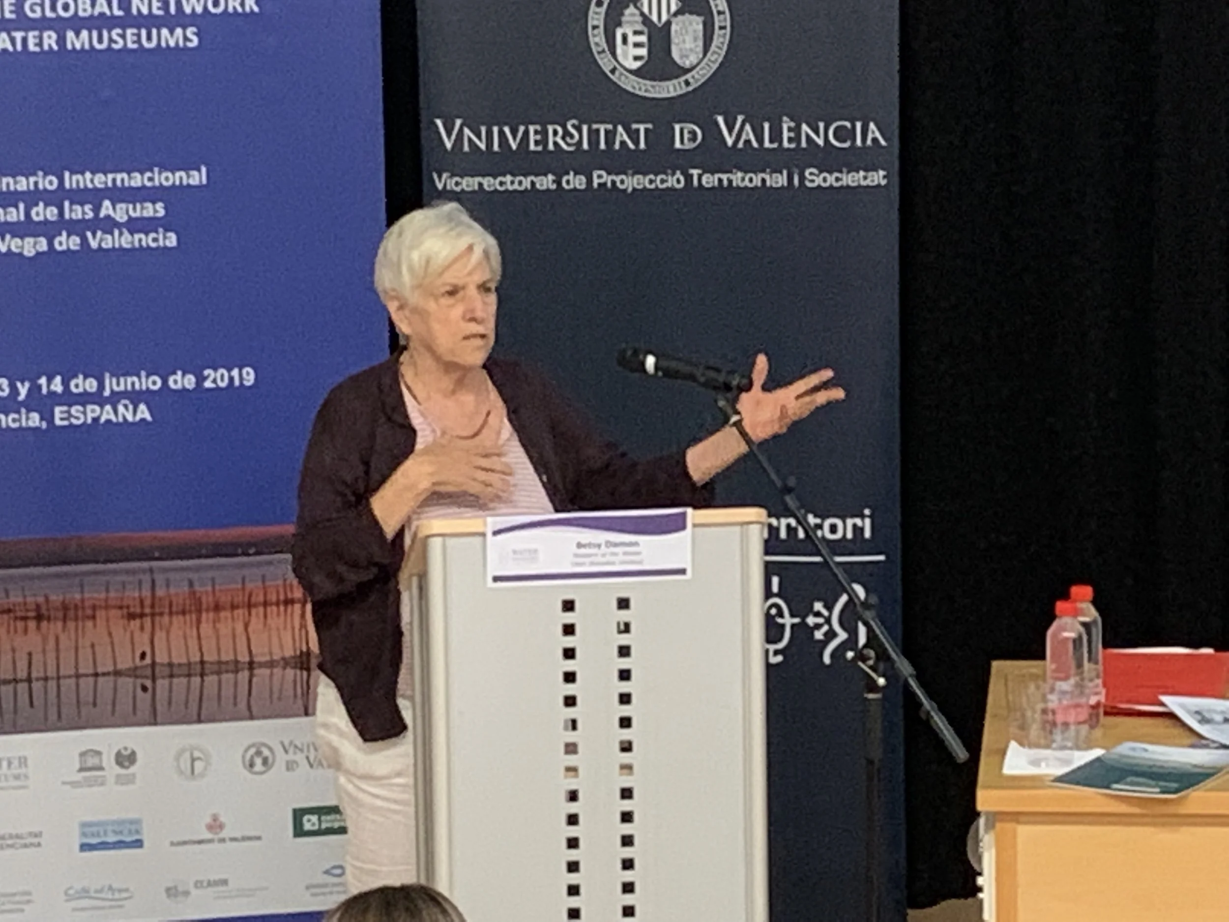 Betsy Damon's Talk at UNESCO’s Global Network of Water Museums Conference