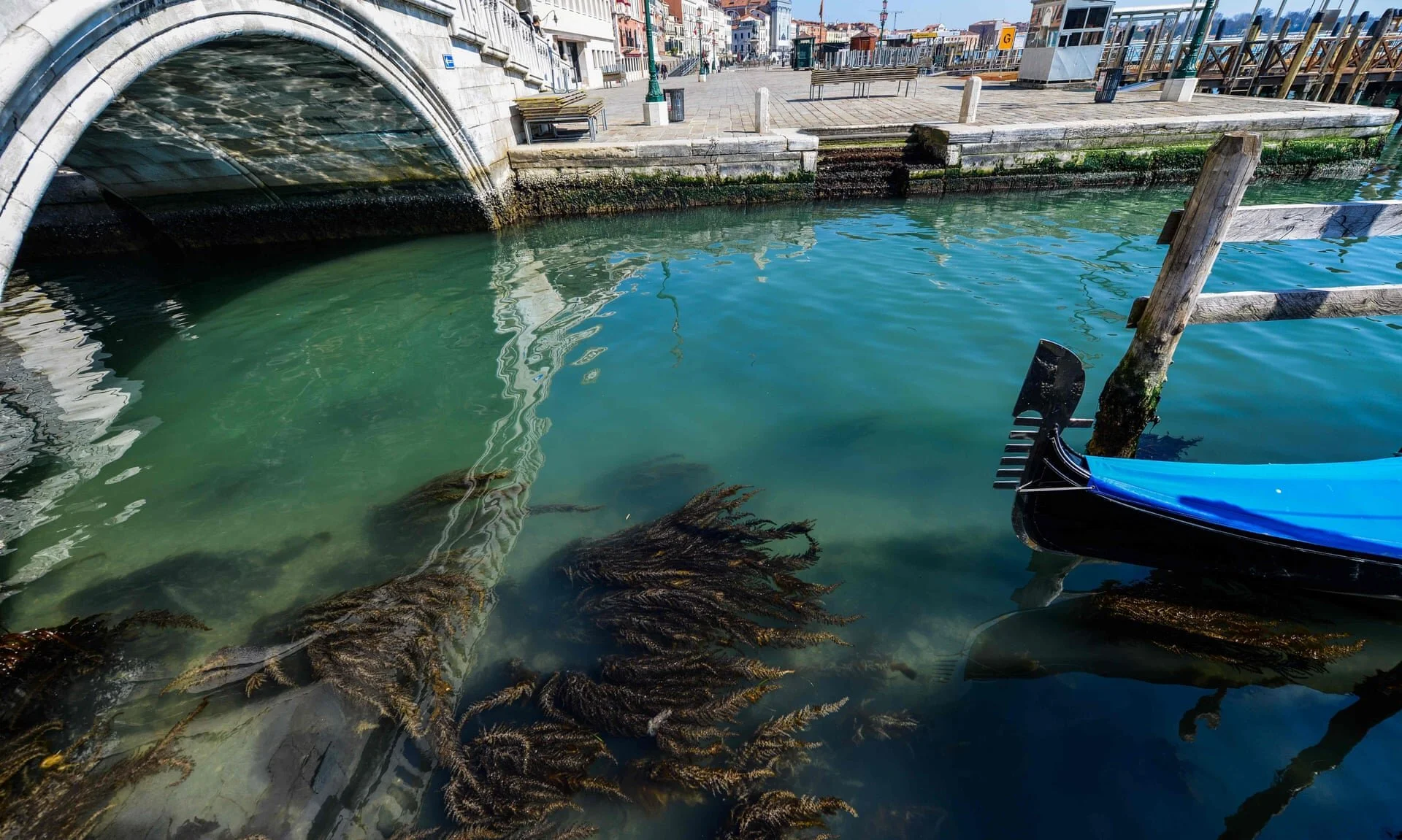 Venice During the Pandemic — Keepers of the Waters