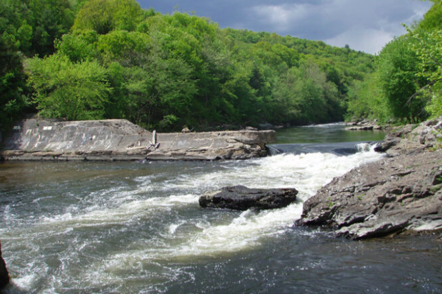 Huge Victory Against Nestlé