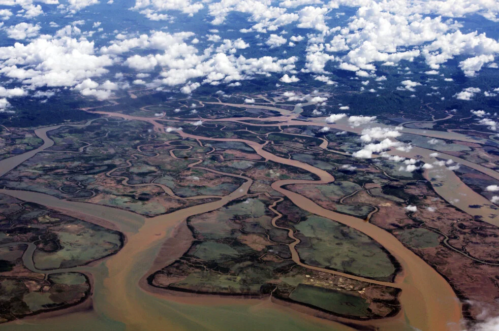 Environmental Personhood