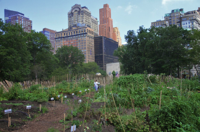 Reconnecting Our Waters