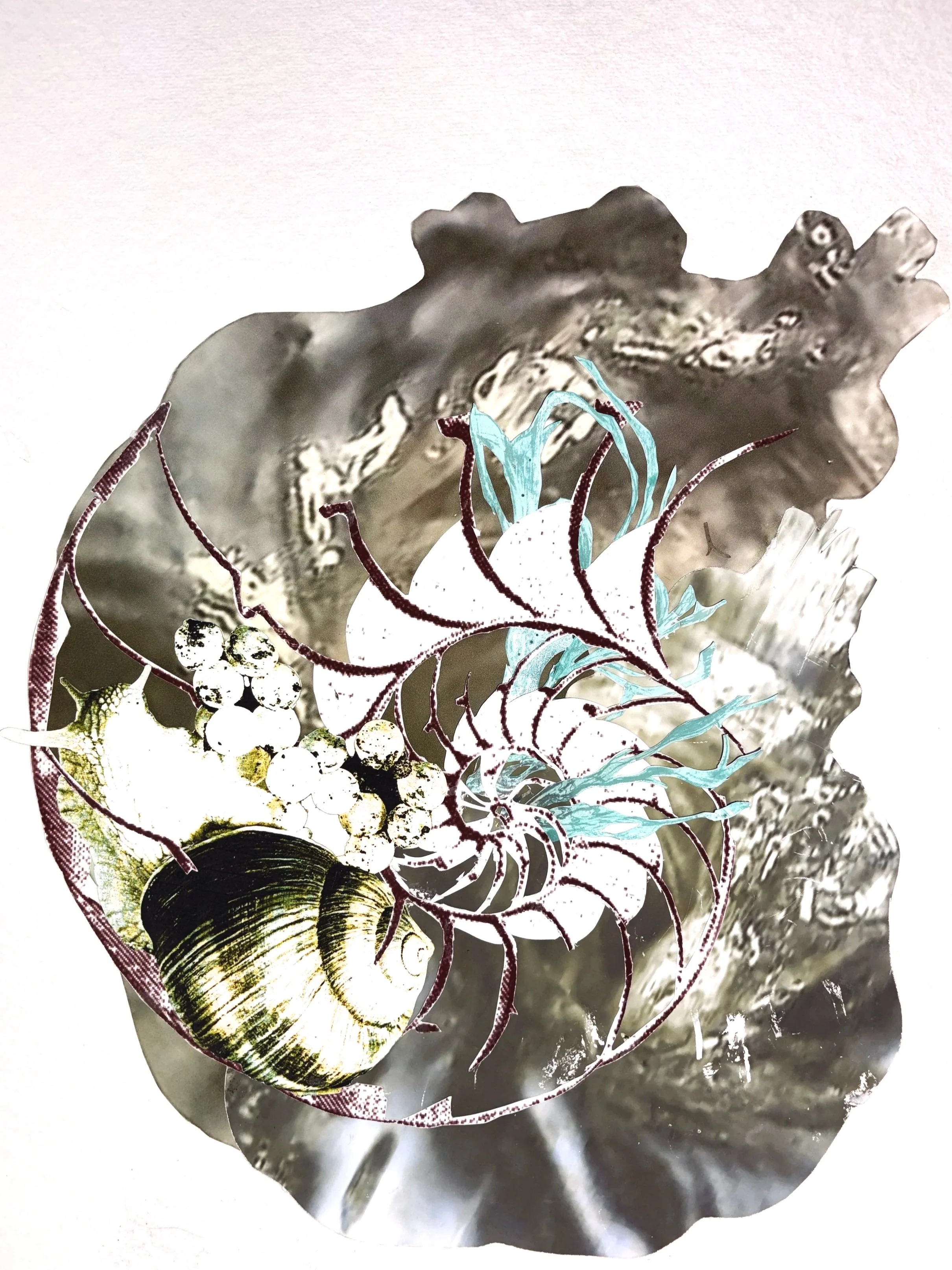 Water, Agent of Life