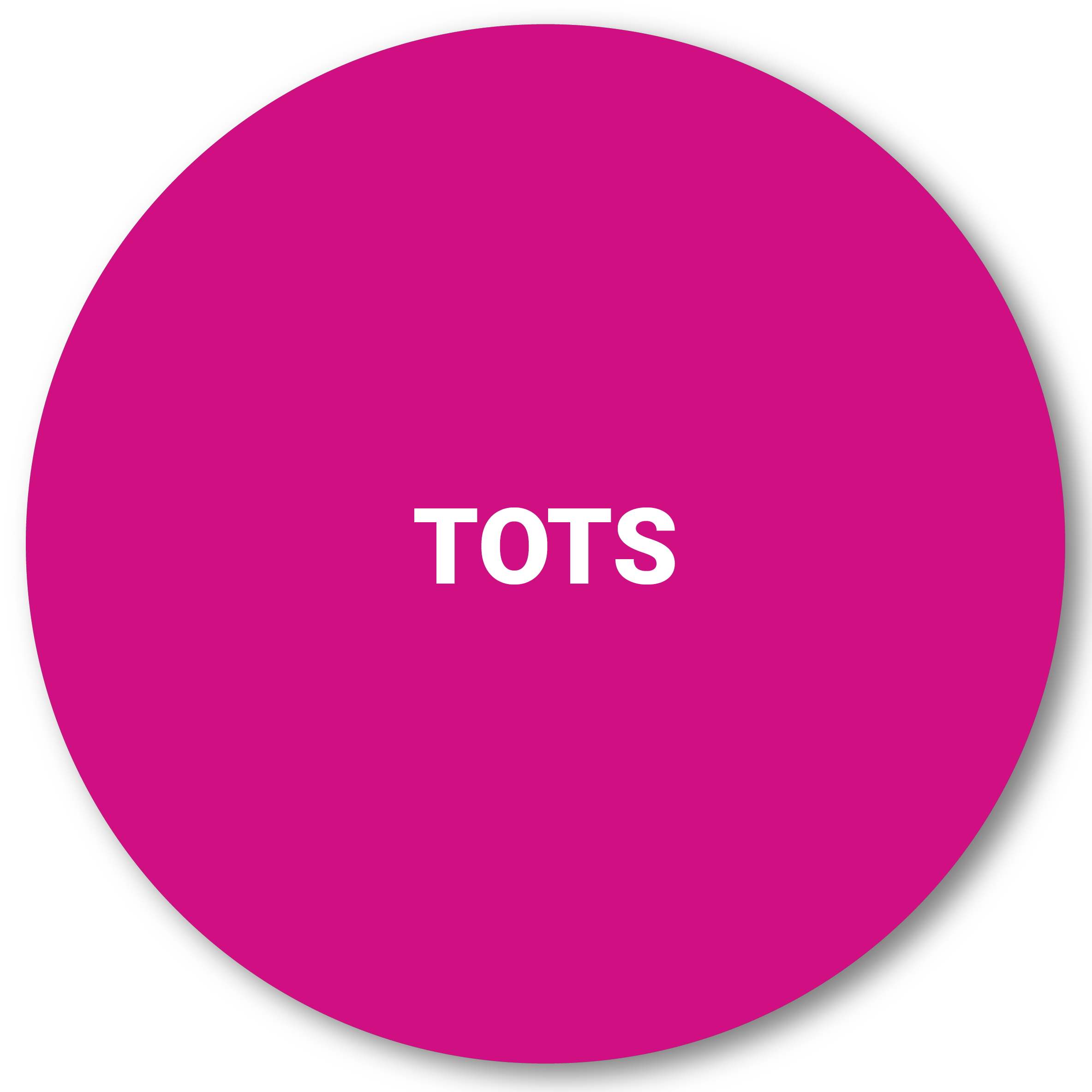 TOTS.png