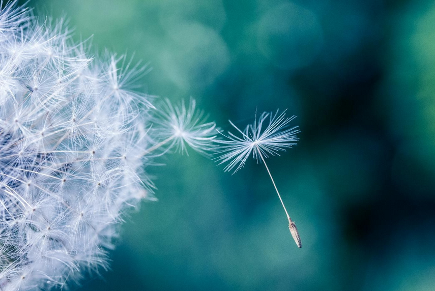 Screen Shot 2018-11-12 at 10.22.39 PM.png