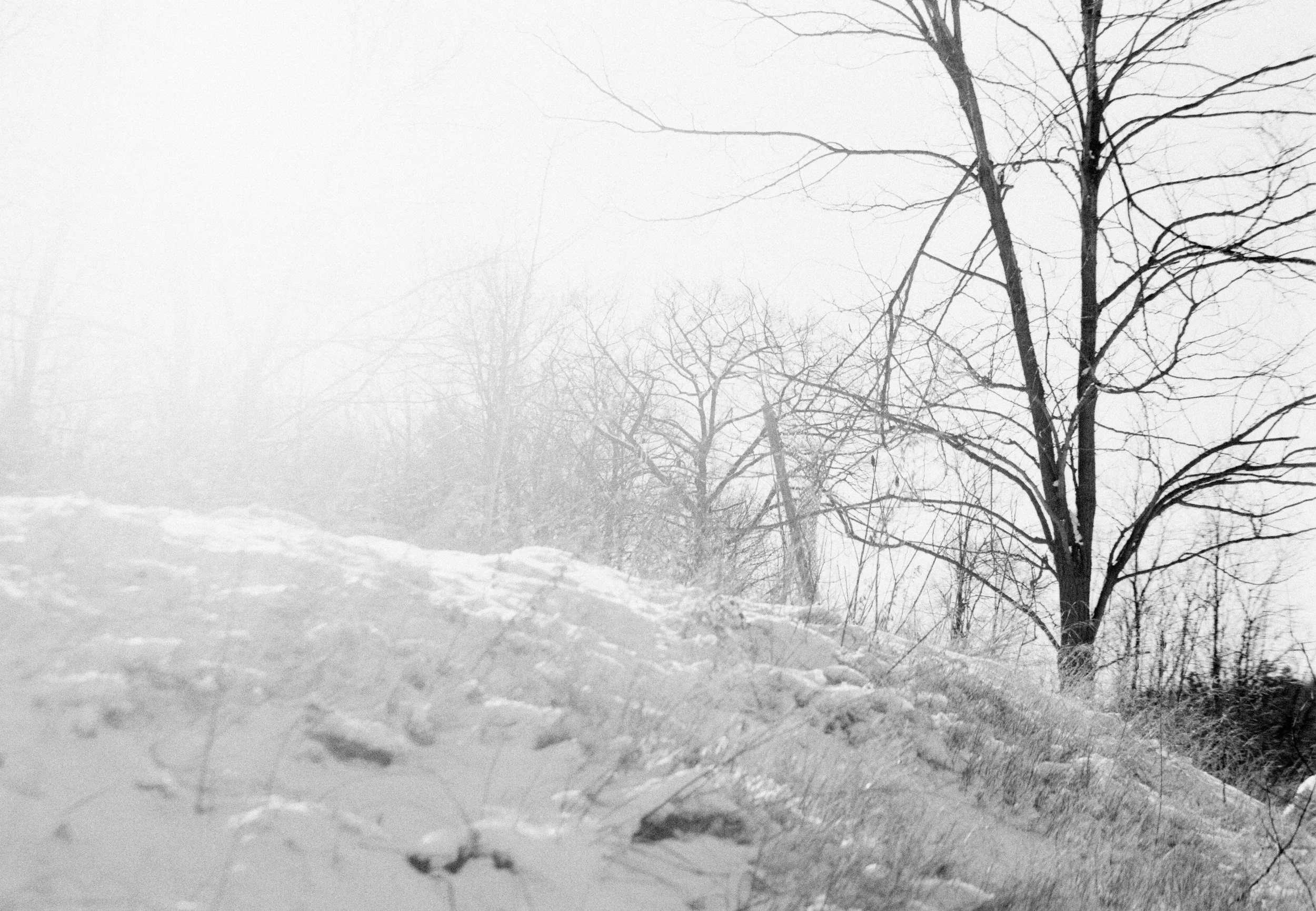 4_01-02-25-028_F.jpg