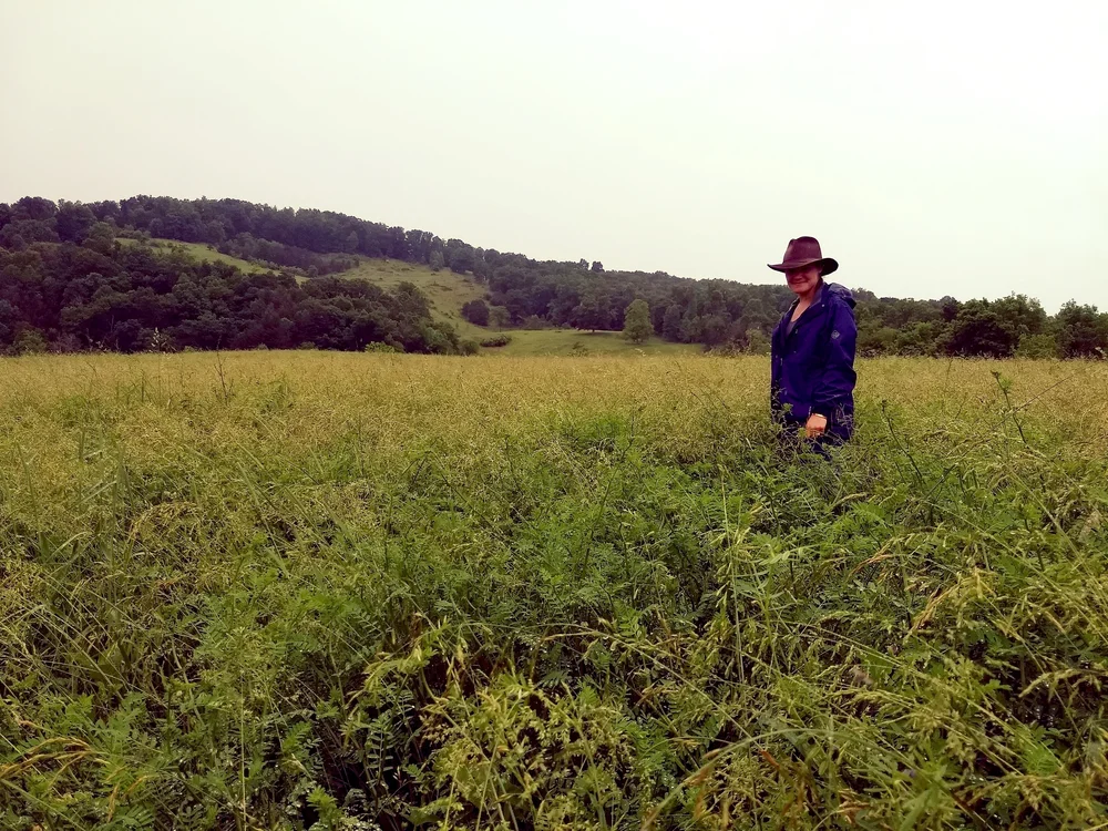 About — Ararat Farm