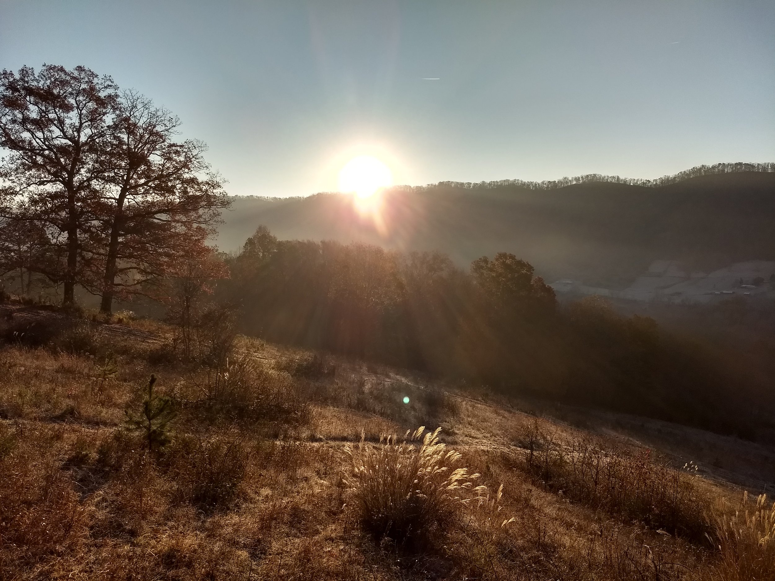 IMG_20181117_074837827_HDR.jpg