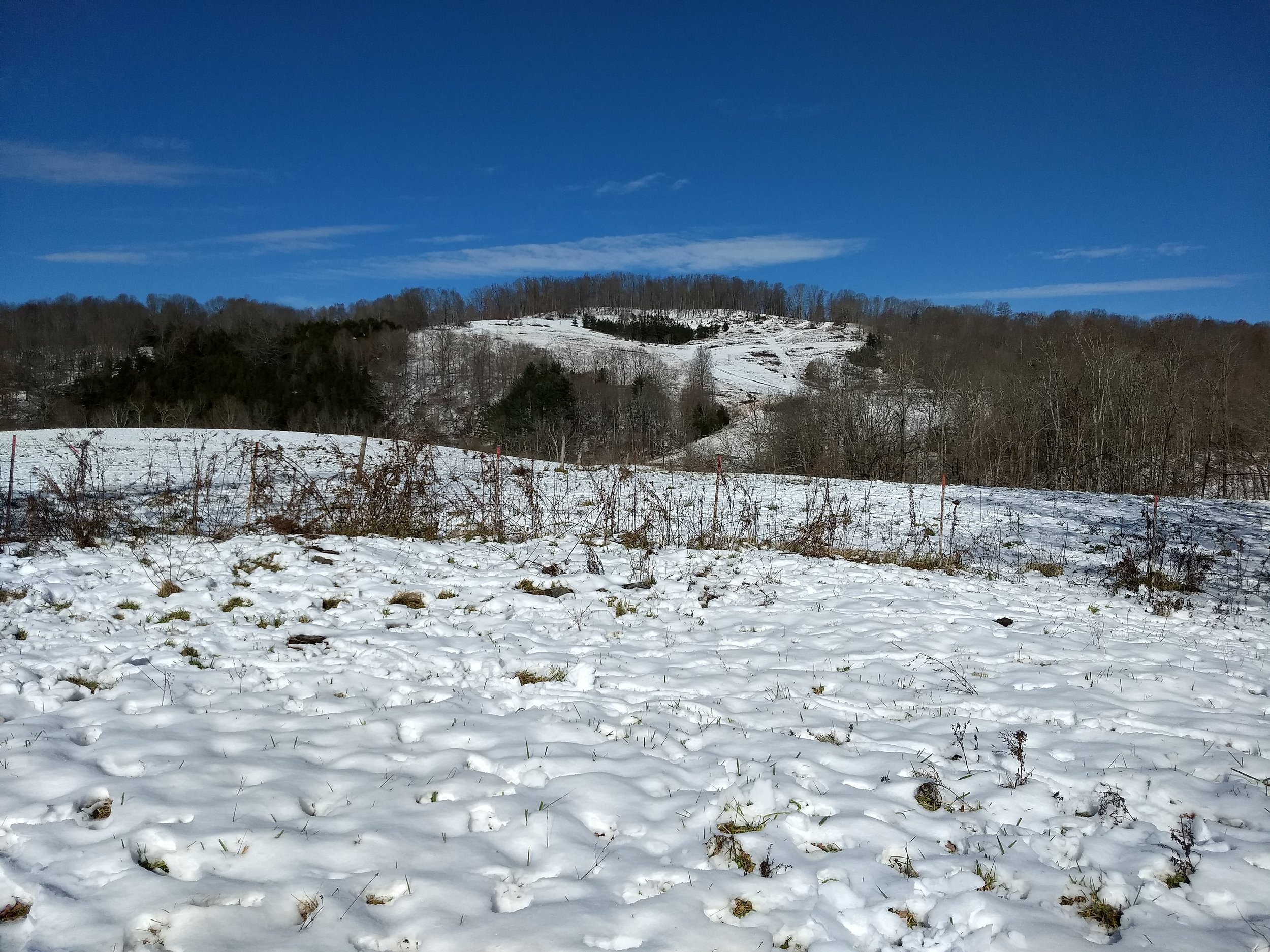IMG_20181210_115948616.jpg