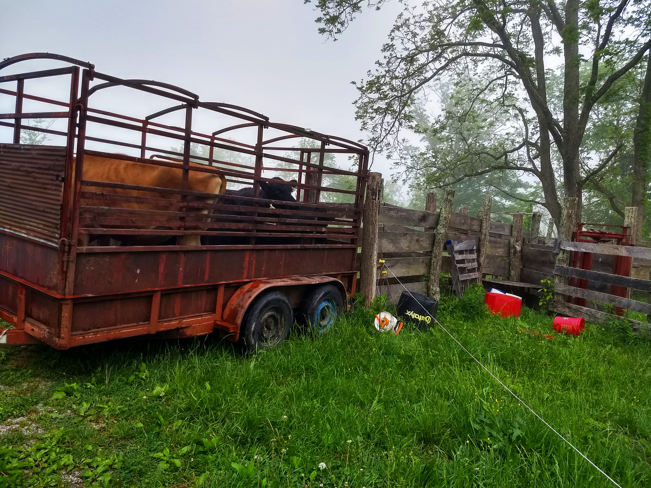 IMG_20190506_085008625_HDR.jpg