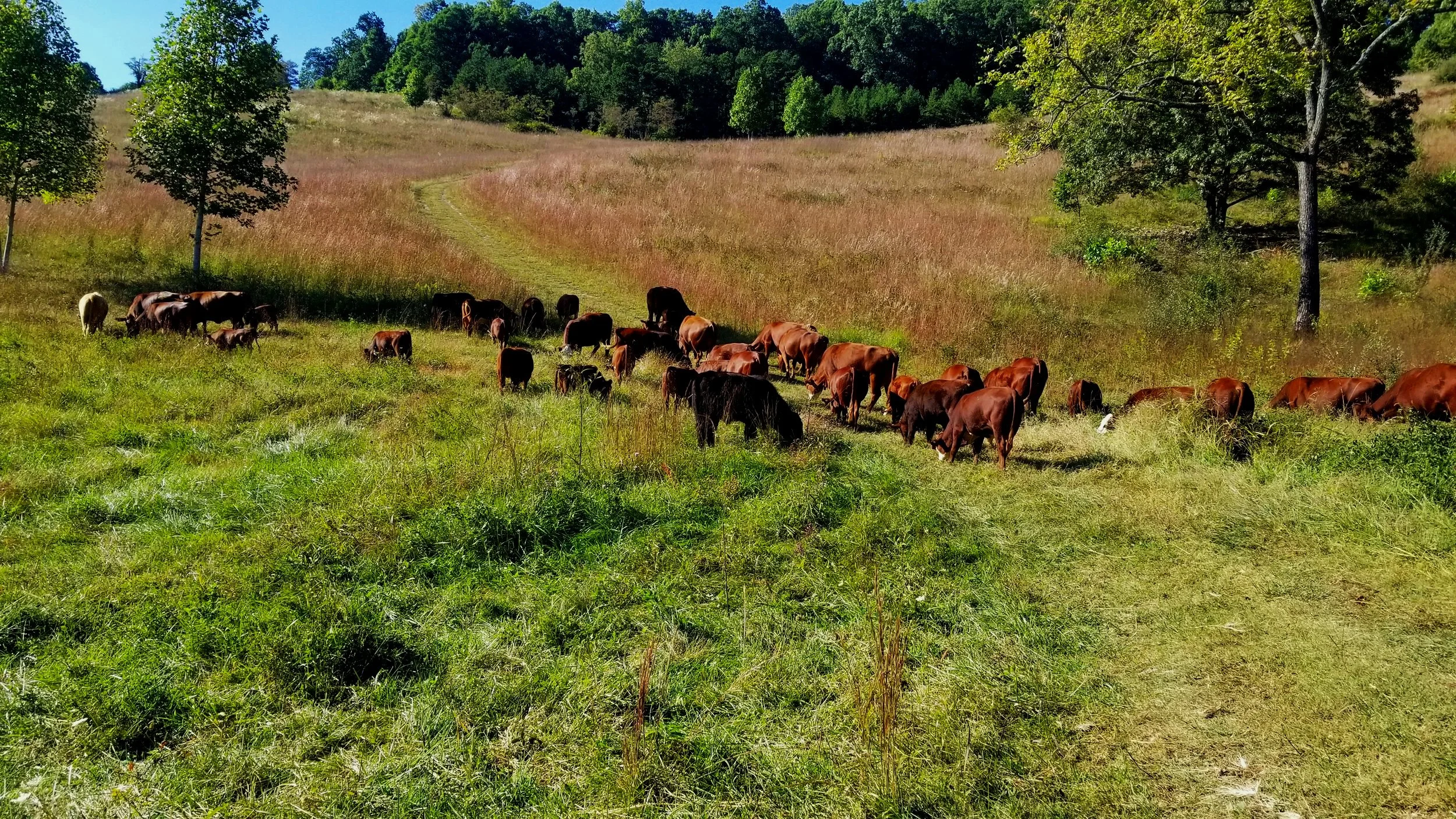 Ararat Farm Newsletter September 2023 — Ararat Farm