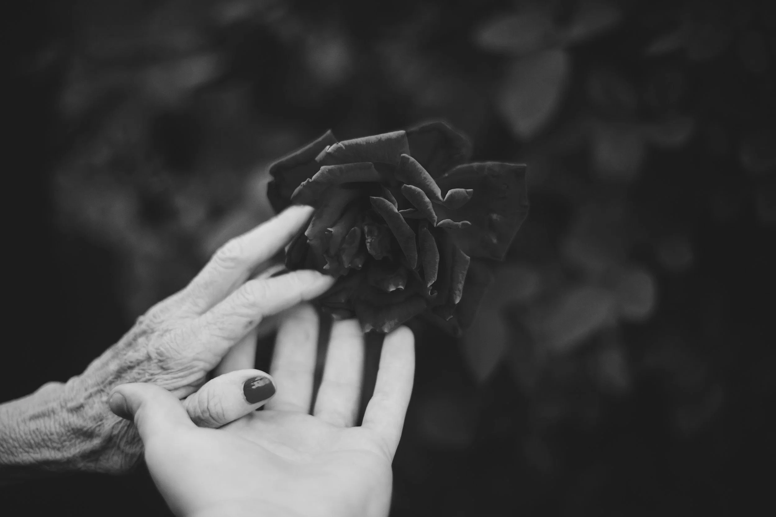 jake-thacker-113197-unsplash.jpg